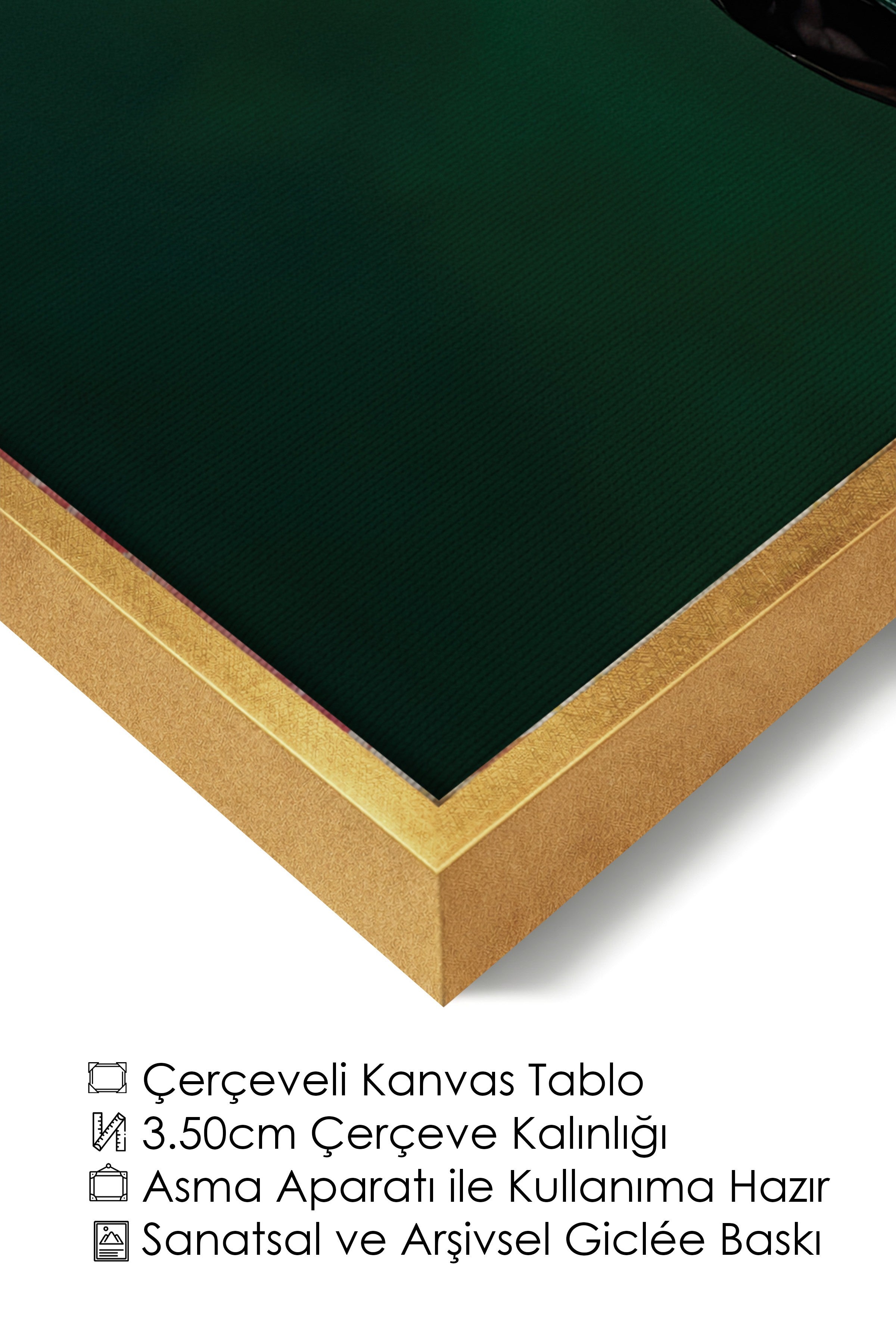 Duvar Tablosu, Lüks Gold Çerçeveli Kanvas Tablo, Ritüel Serisi, Kuş Tablo, NO:115245