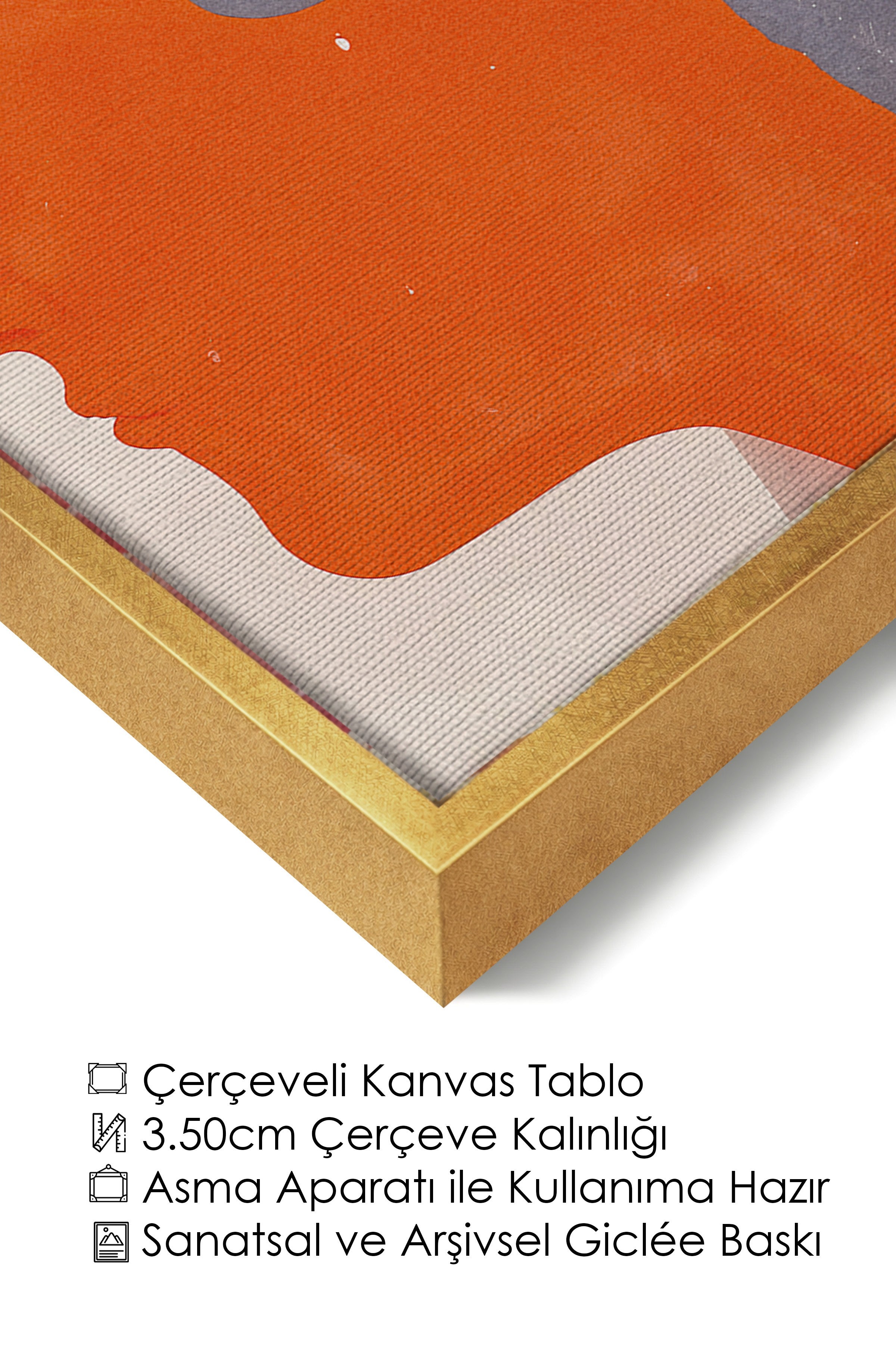 Duvar Tablosu, Lüks Gold Çerçeveli Kanvas Tablo, Ritüel Serisi, Maximalist Tablo, NO:115192