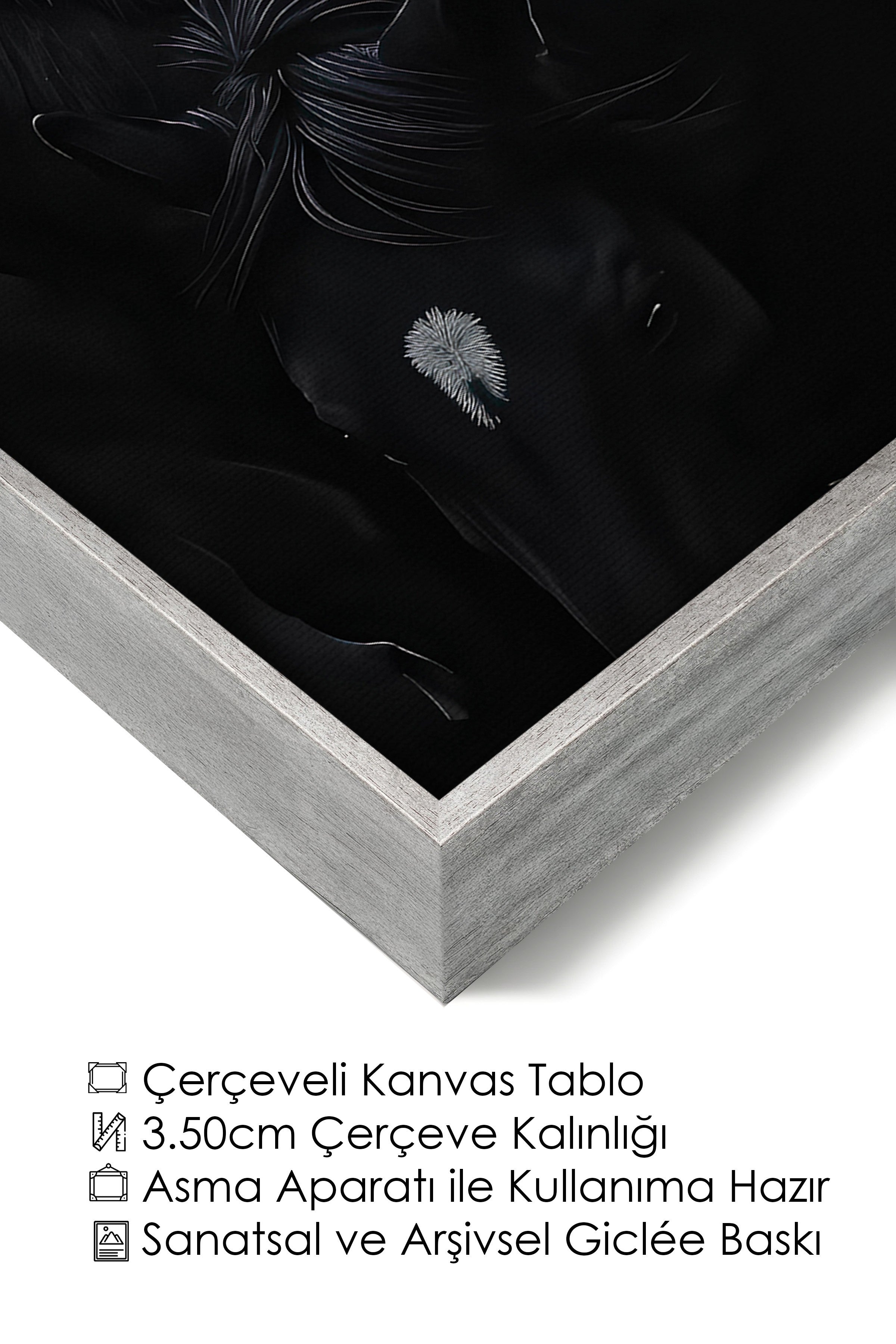 Duvar Tablosu, Lüks Gümüş Çerçeveli Kanvas Tablo, Ritüel Serisi, At Tablo, NO:115190