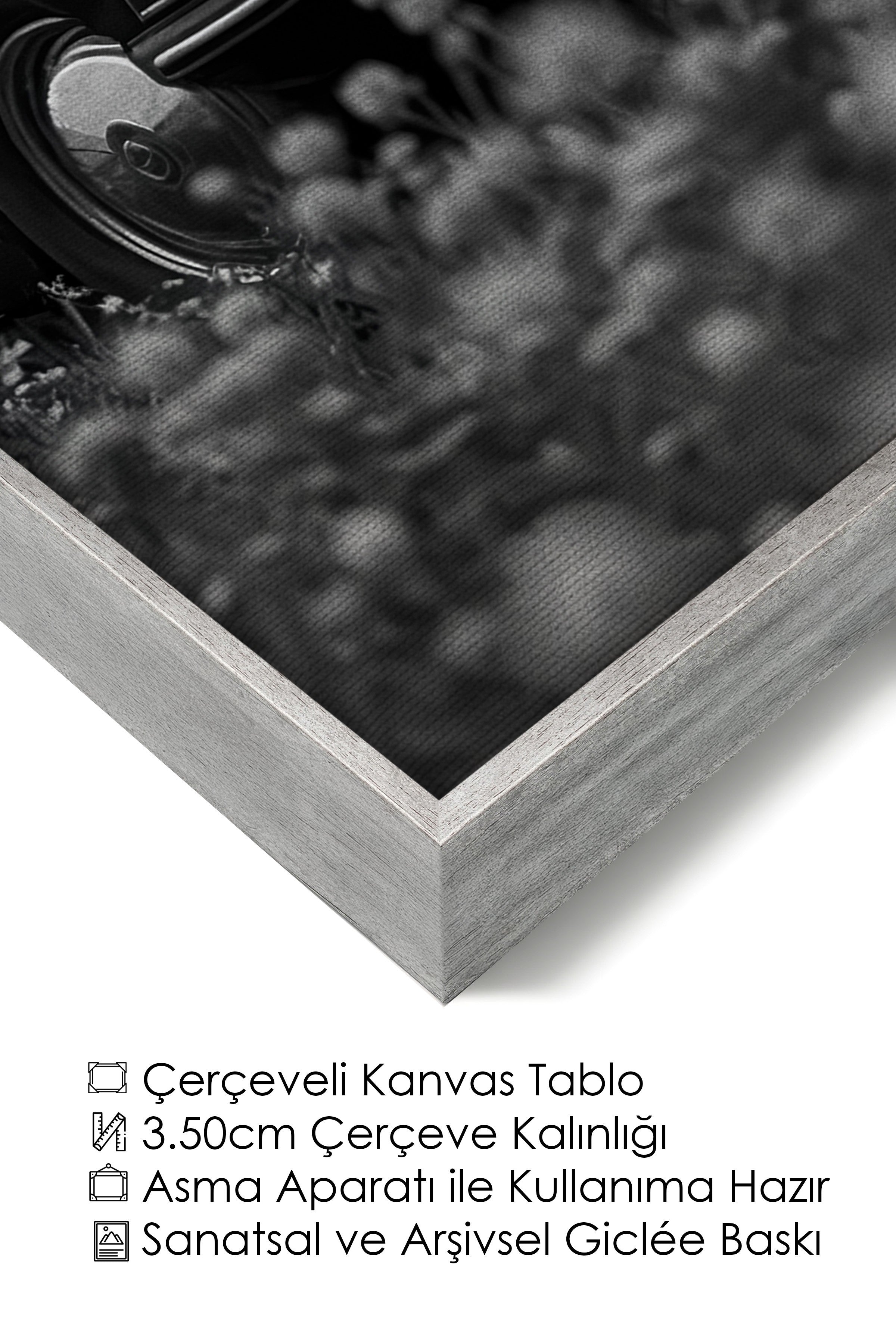 Duvar Tablosu, Lüks Gümüş Çerçeveli Kanvas Tablo, Ritüel Serisi, At Tablo, NO:115225