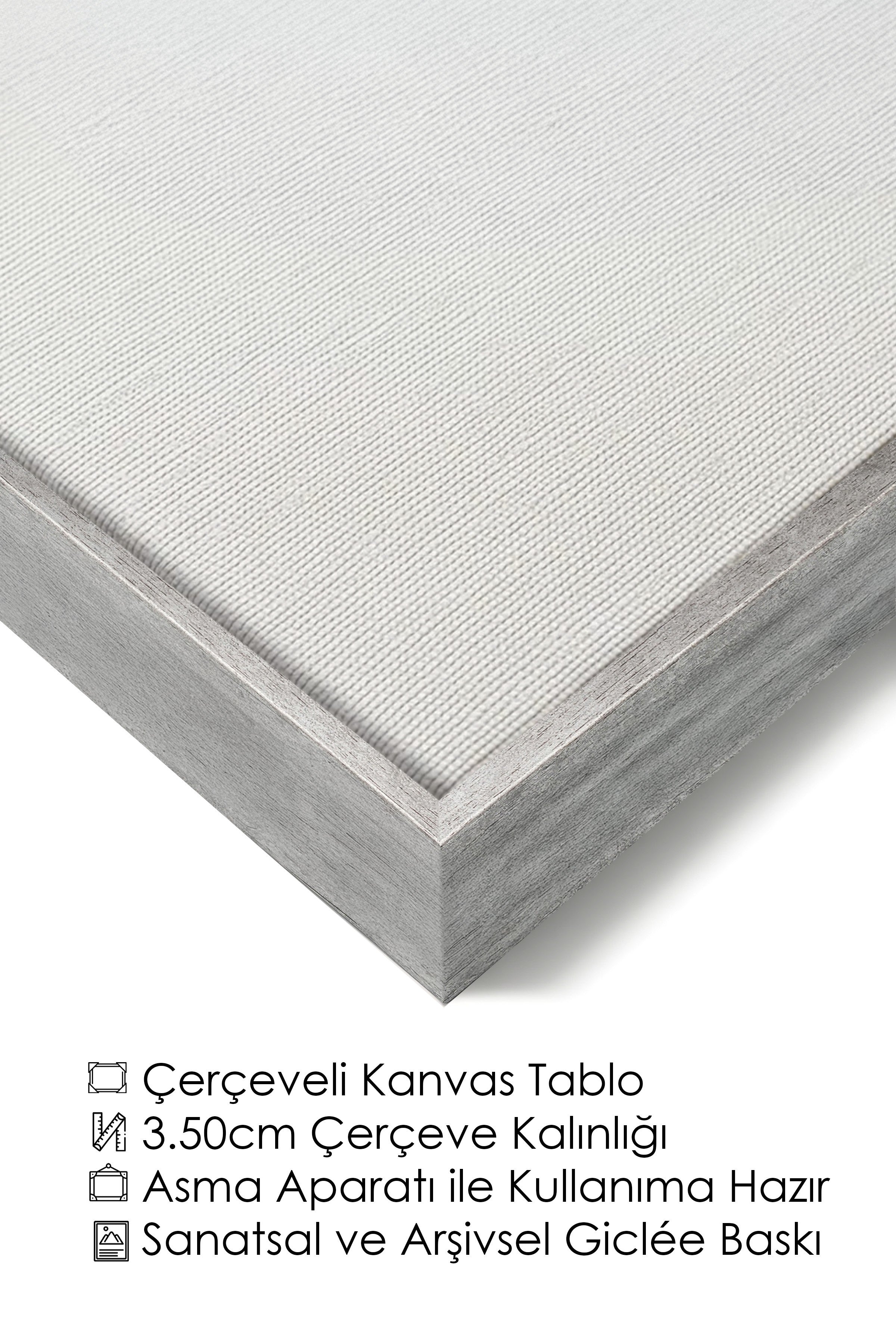 Duvar Tablosu, Lüks Gümüş Çerçeveli Kanvas Tablo, Ritüel Serisi, Kuş Tablo, NO:115186