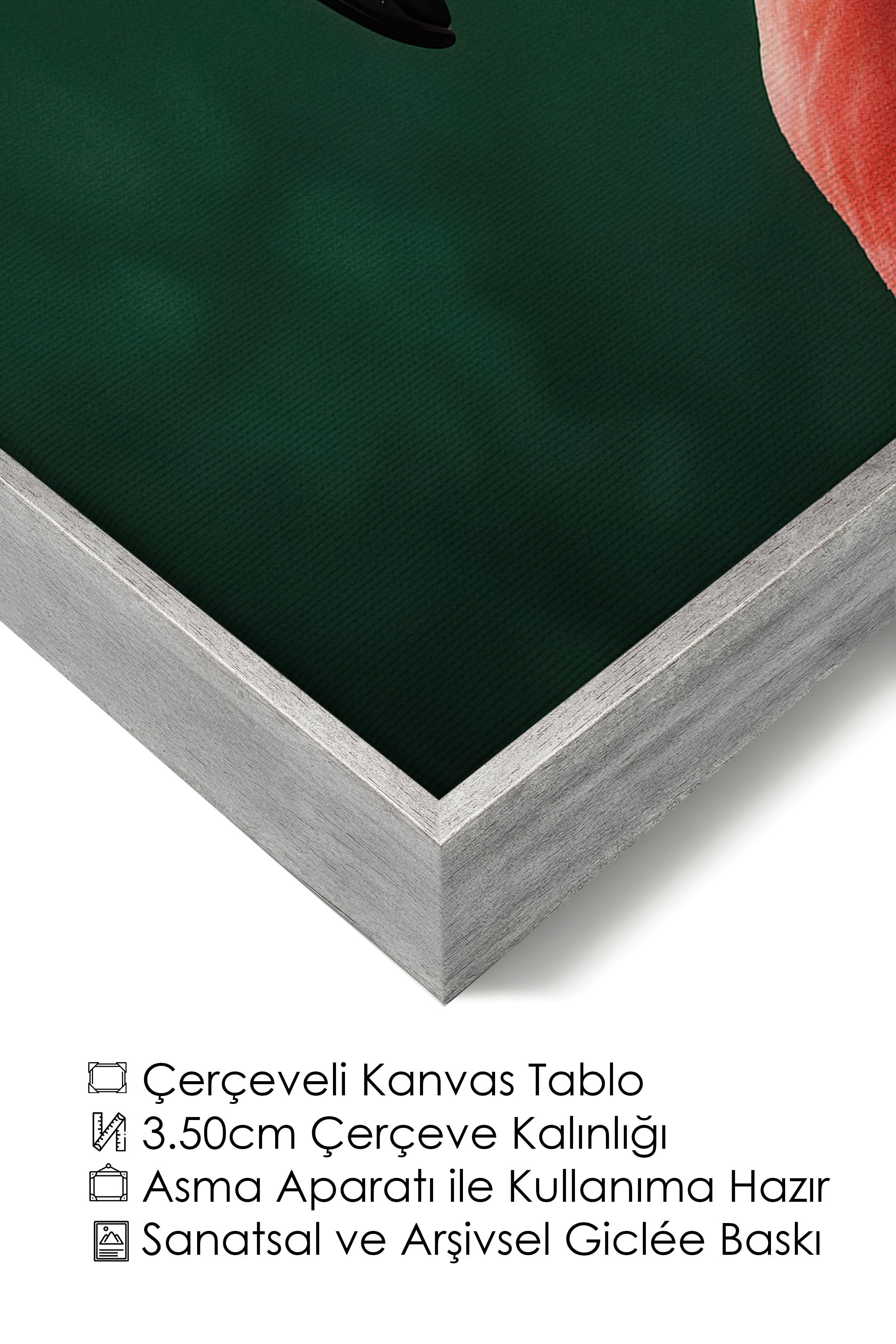 Duvar Tablosu, Lüks Gümüş Çerçeveli Kanvas Tablo, Ritüel Serisi, Kuş Tablo, NO:115198