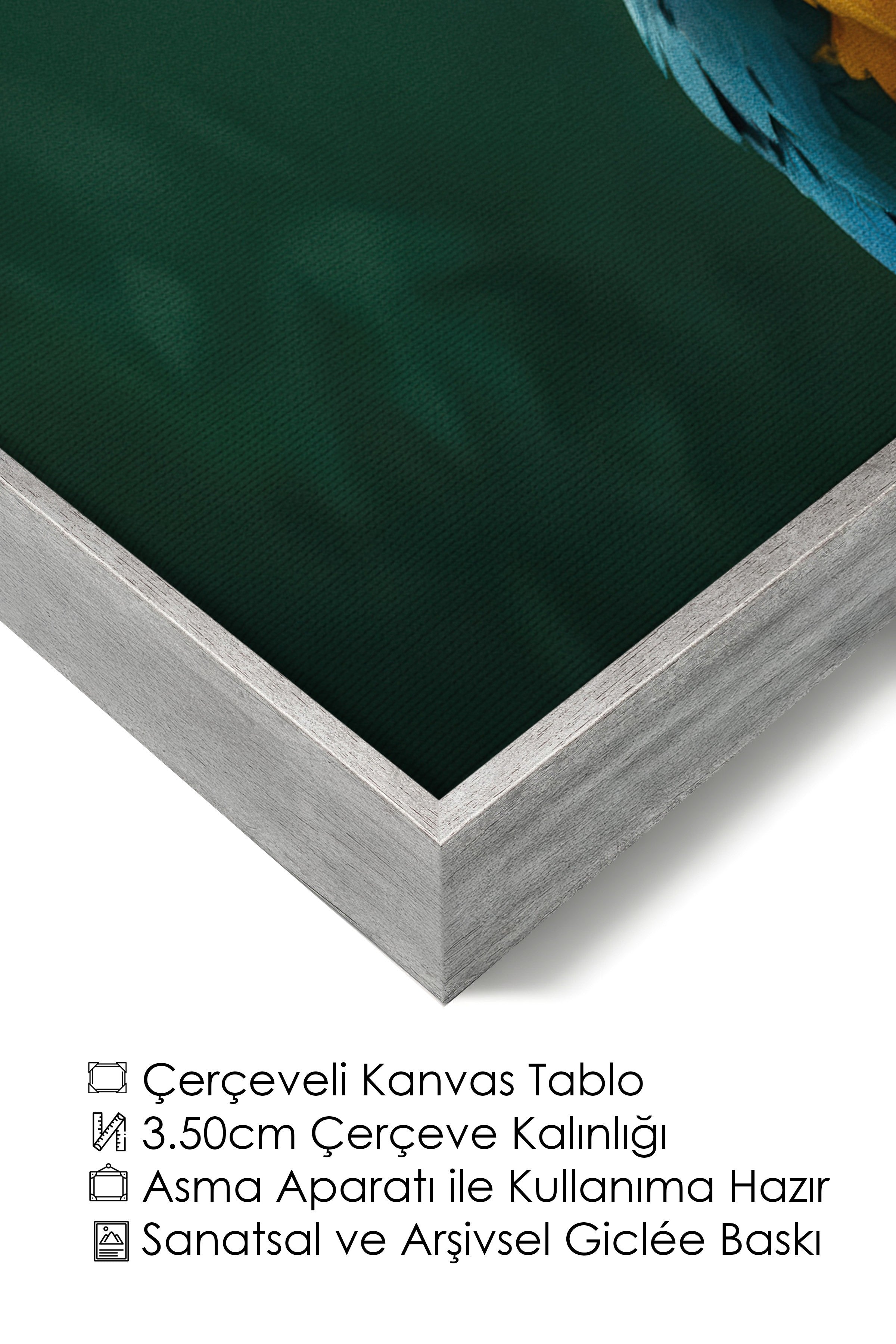 Duvar Tablosu, Lüks Gümüş Çerçeveli Kanvas Tablo, Ritüel Serisi, Kuş Tablo, NO:115207