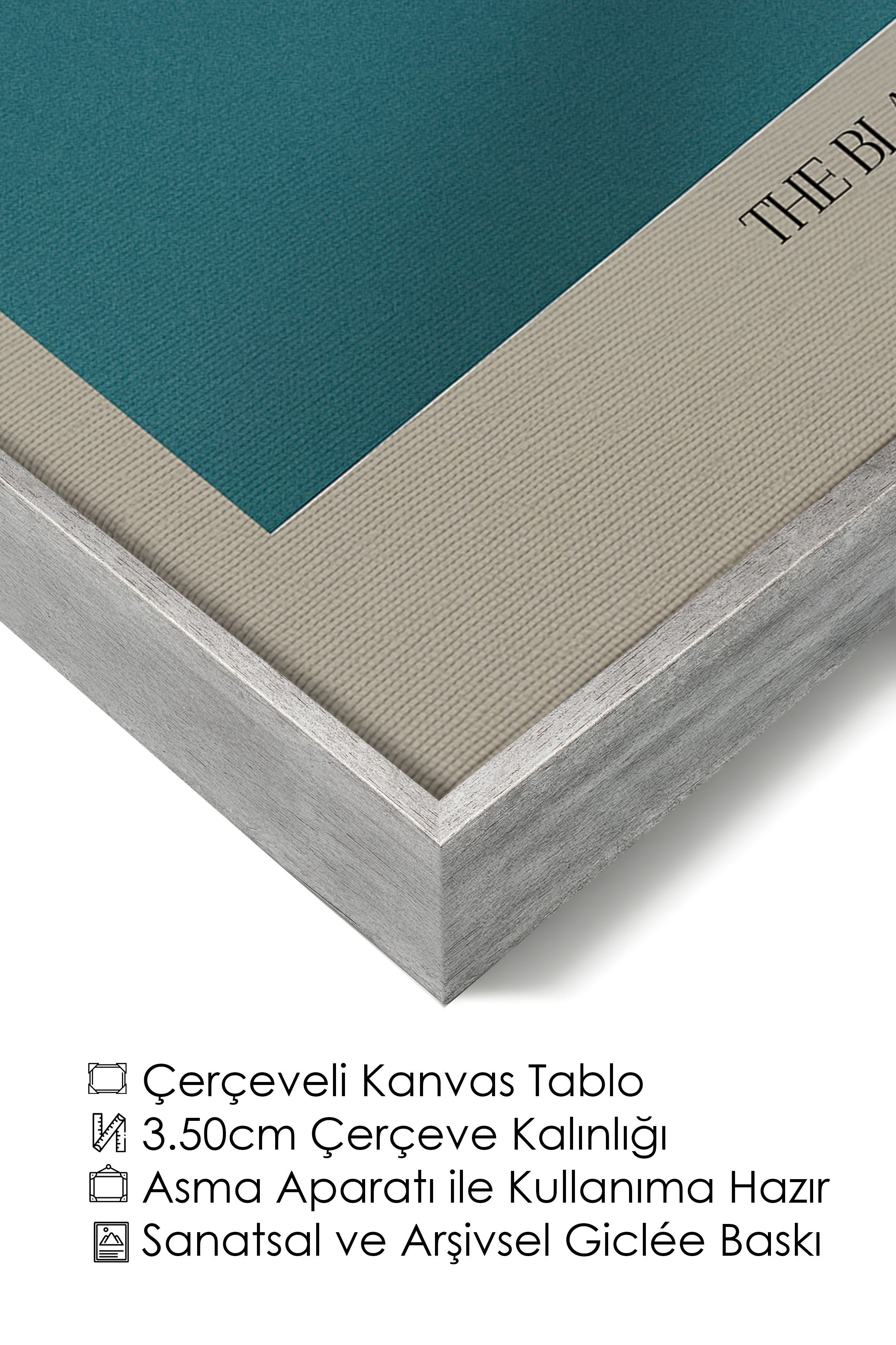 Duvar Tablosu, Lüks Gümüş Çerçeveli Kanvas Tablo, Ritüel Serisi, Kuş Tablo, NO:115211