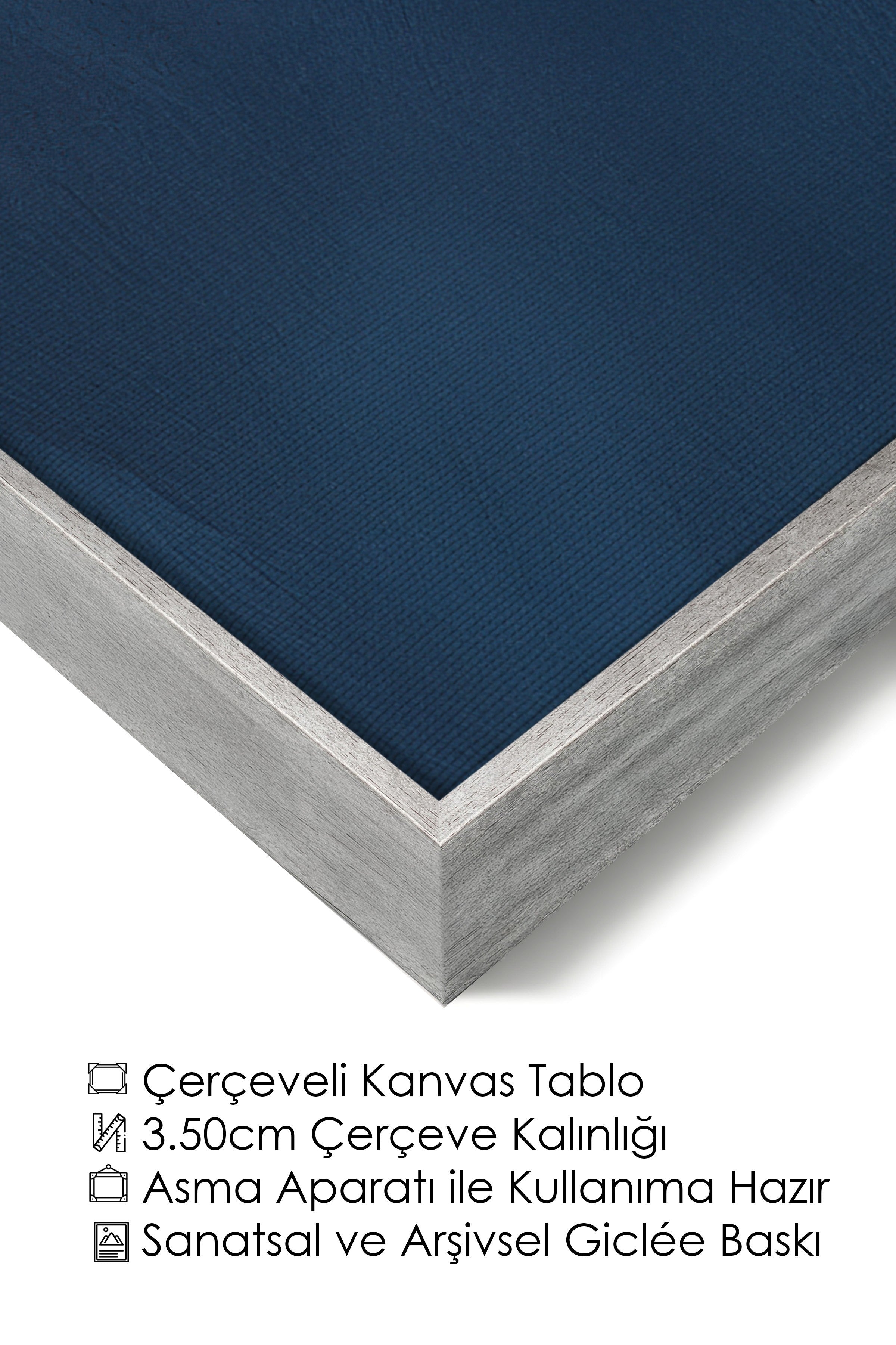 Duvar Tablosu, Lüks Gümüş Çerçeveli Kanvas Tablo, Ritüel Serisi, Kuş Tablo, NO:115212
