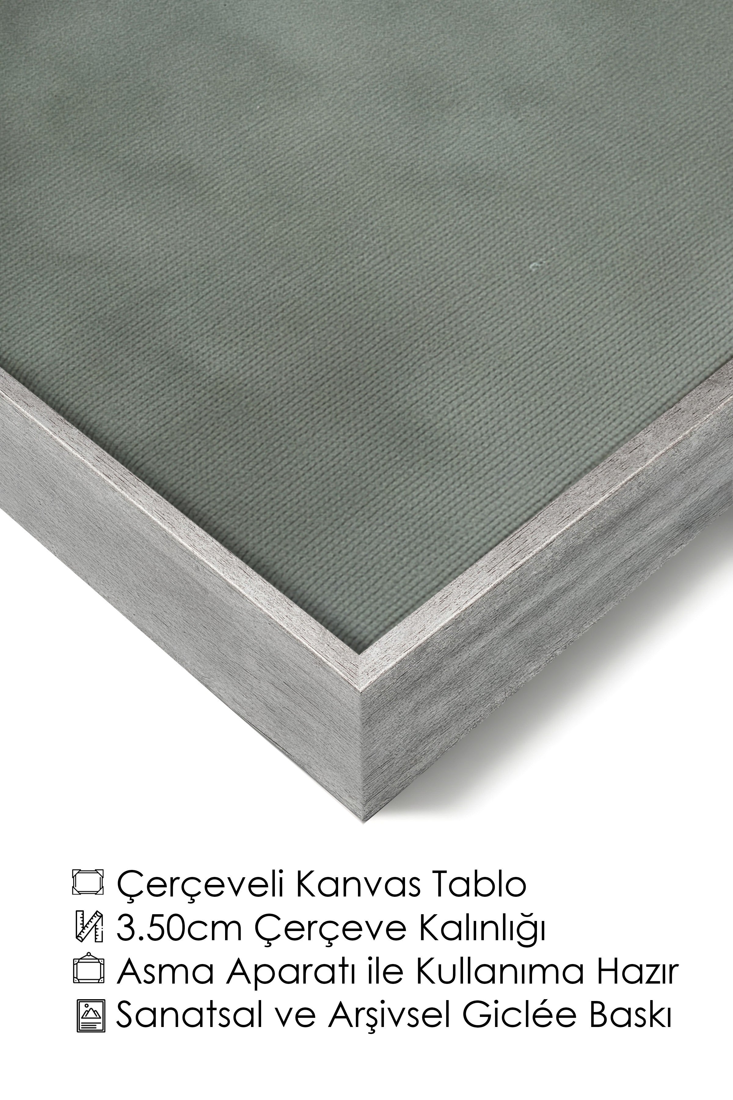 Duvar Tablosu, Lüks Gümüş Çerçeveli Kanvas Tablo, Ritüel Serisi, Kuş Tablo, NO:115213
