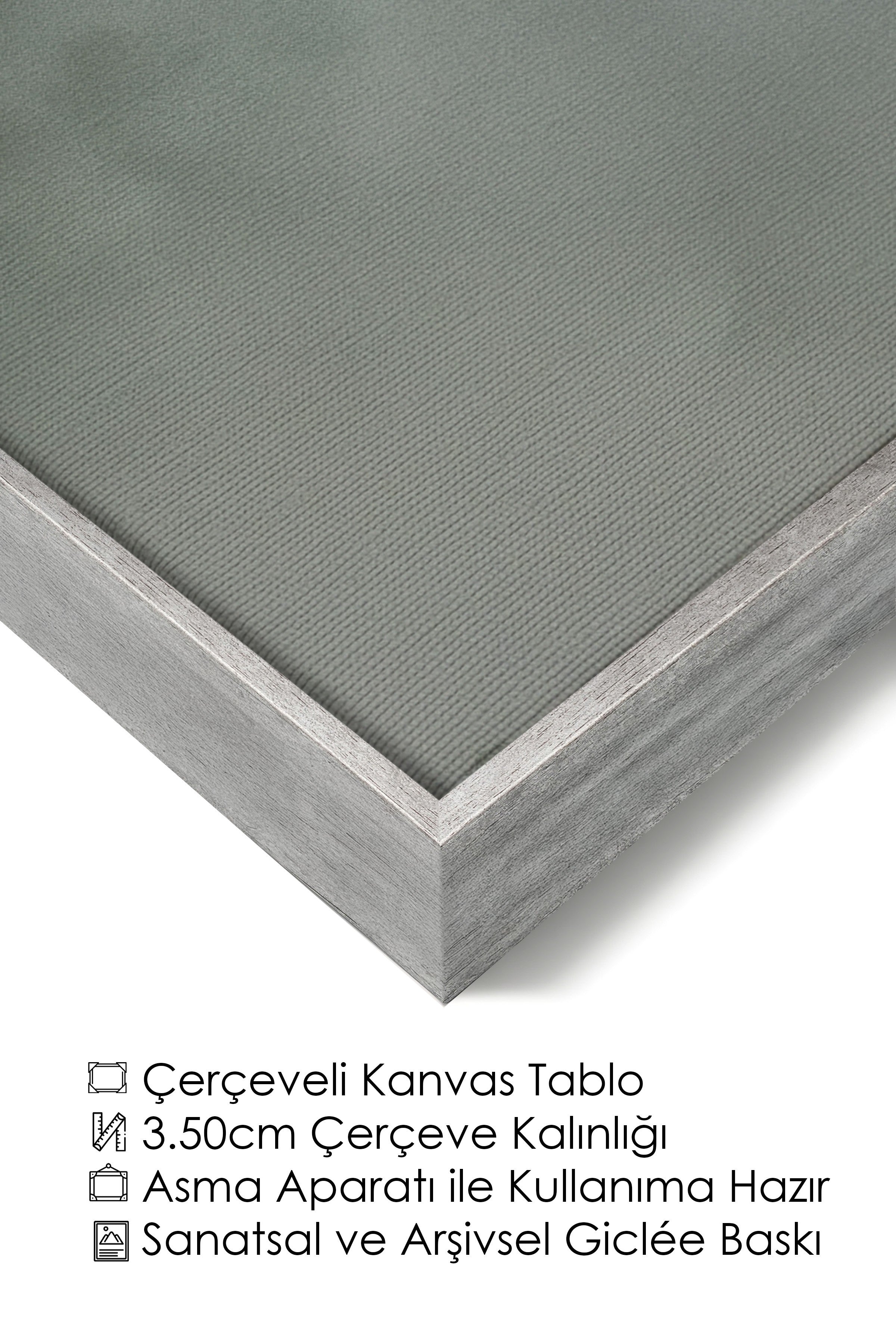 Duvar Tablosu, Lüks Gümüş Çerçeveli Kanvas Tablo, Ritüel Serisi, Kuş Tablo, NO:115221