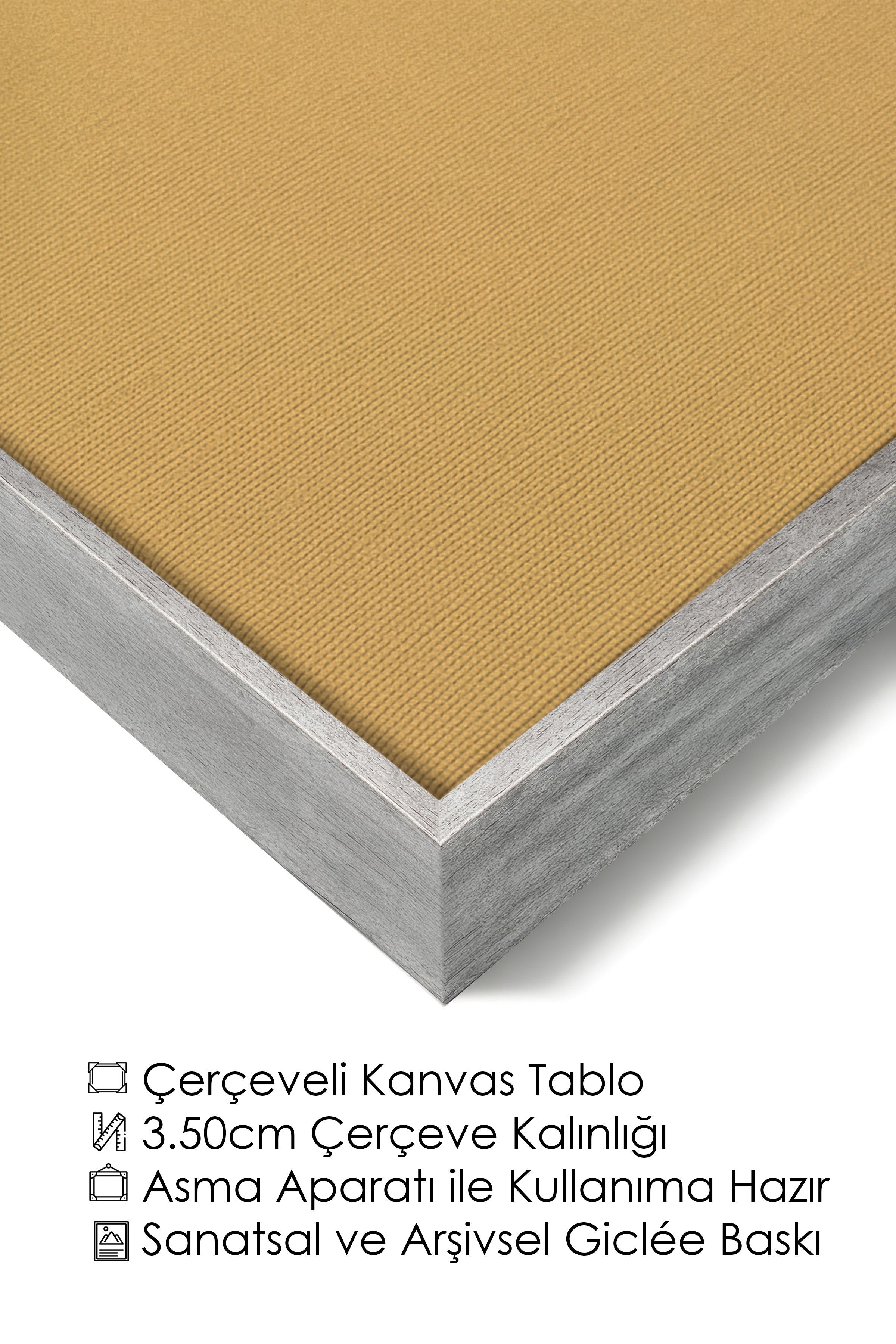 Duvar Tablosu, Lüks Gümüş Çerçeveli Kanvas Tablo, Ritüel Serisi, Kuş Tablo, NO:115224