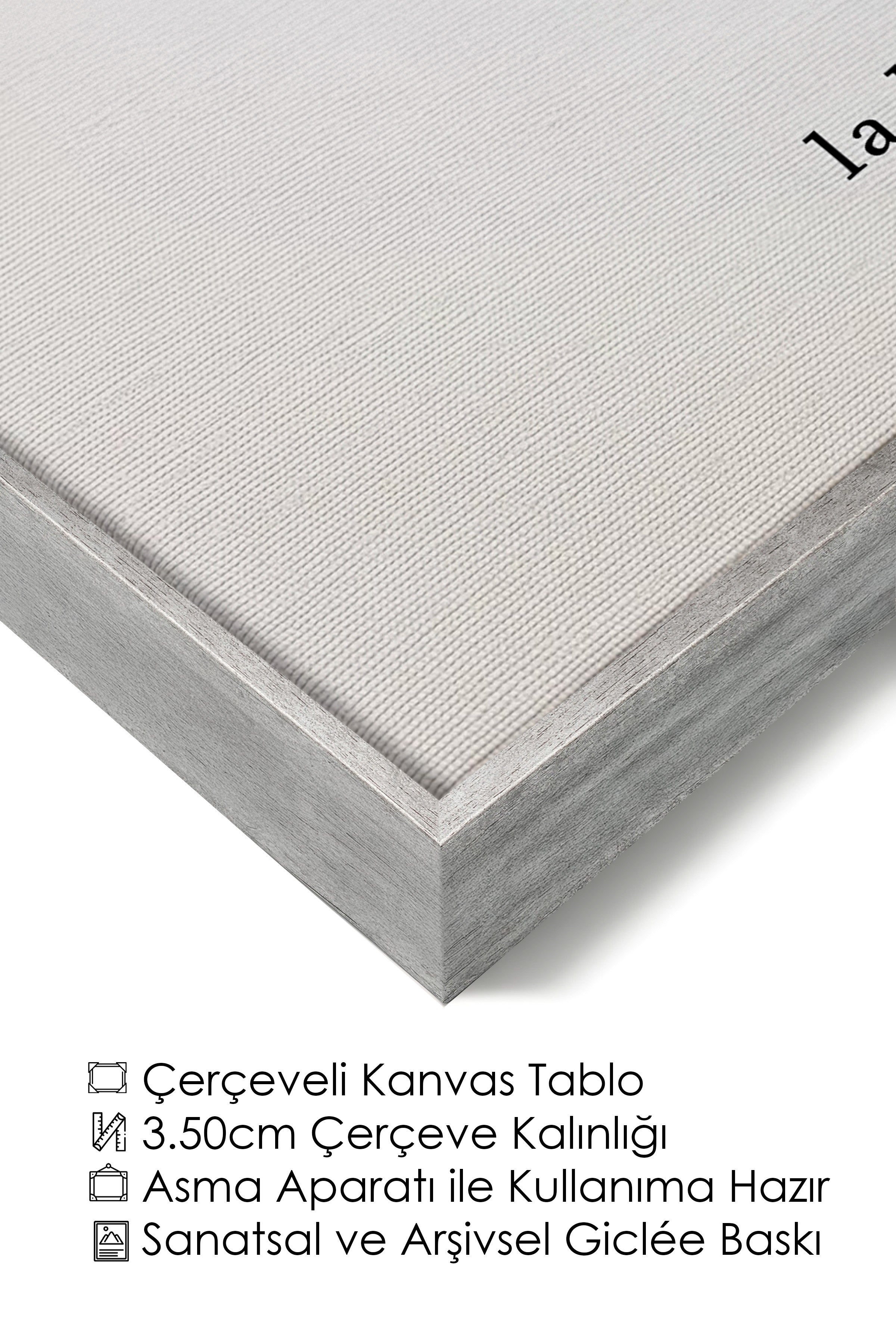 Duvar Tablosu, Lüks Gümüş Çerçeveli Kanvas Tablo, Ritüel Serisi, Kuş Tablo, NO:115227