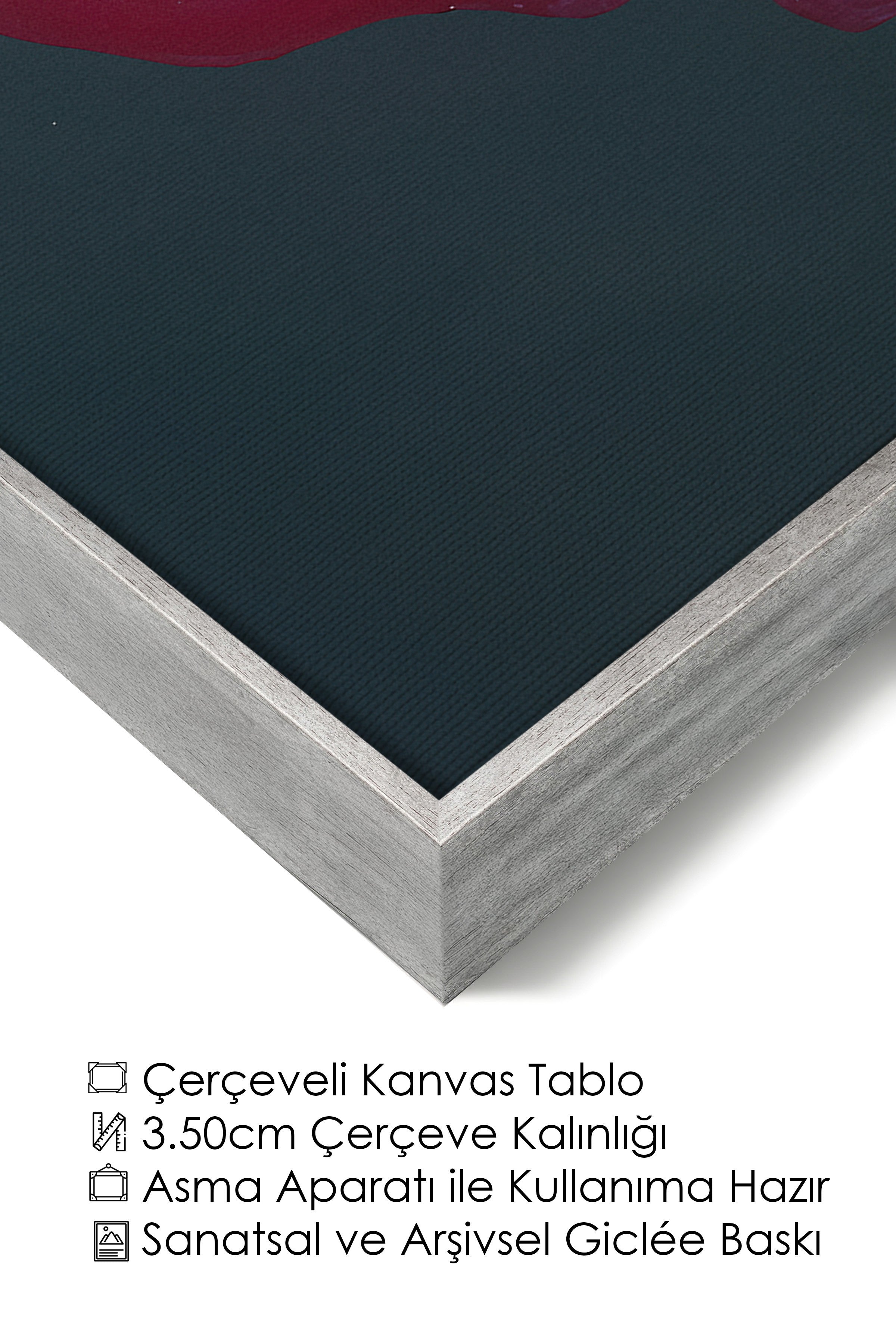 Duvar Tablosu, Lüks Gümüş Çerçeveli Kanvas Tablo, Ritüel Serisi, Kuş Tablo, NO:115228