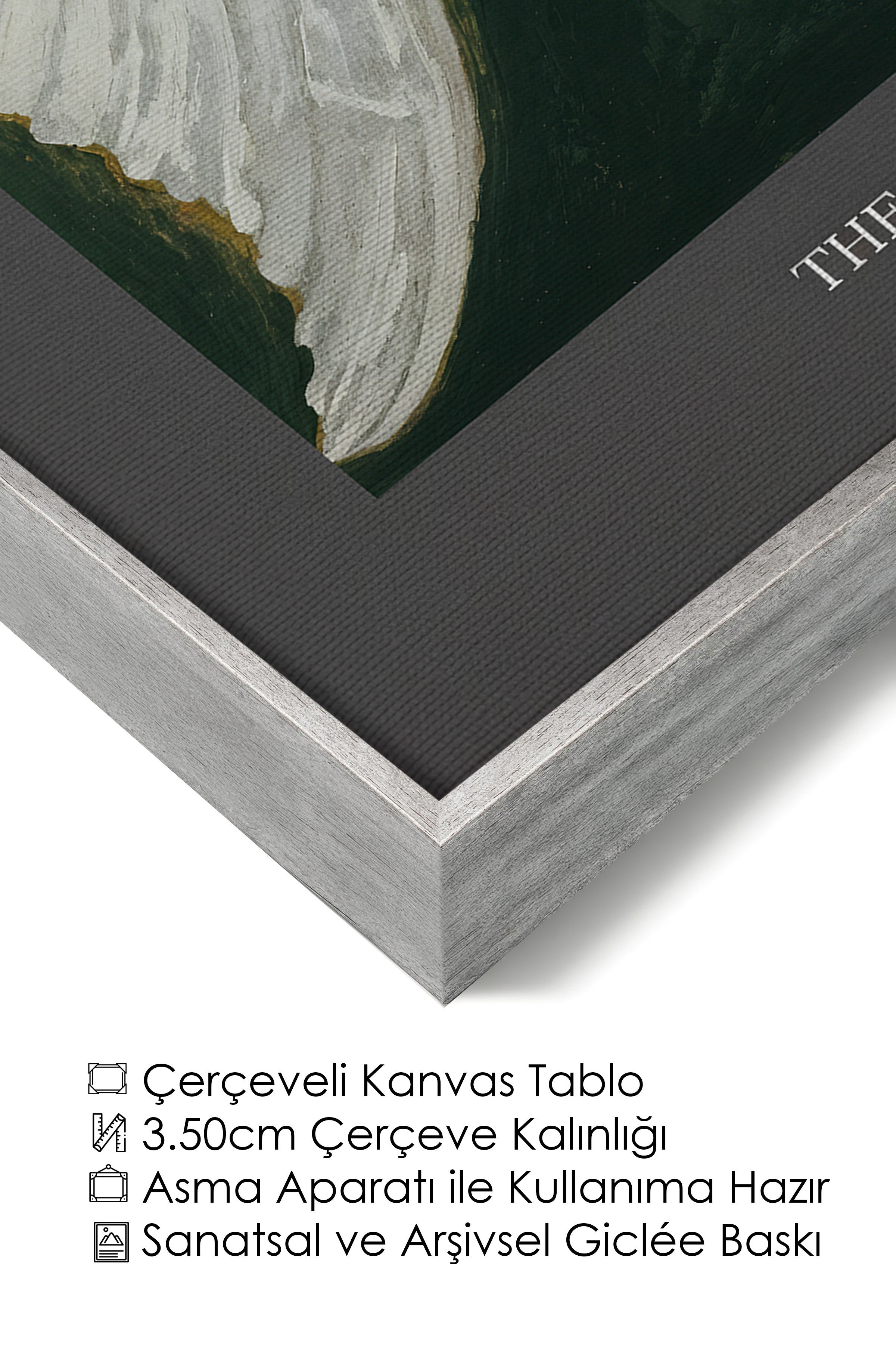 Duvar Tablosu, Lüks Gümüş Çerçeveli Kanvas Tablo, Ritüel Serisi, Kuş Tablo, NO:115232