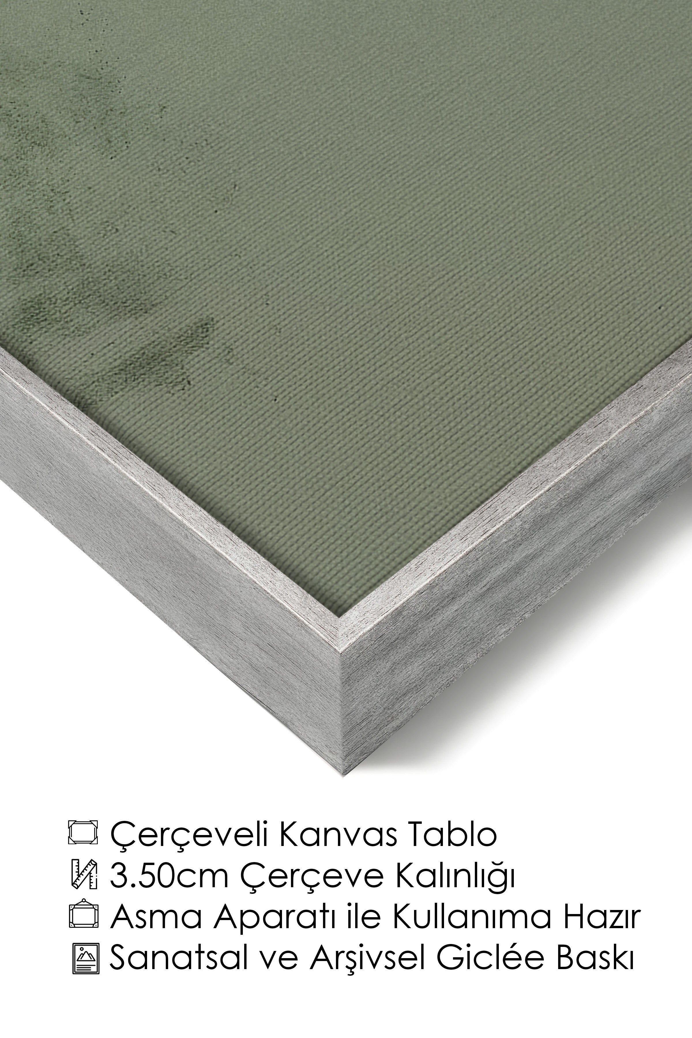 Duvar Tablosu, Lüks Gümüş Çerçeveli Kanvas Tablo, Ritüel Serisi, Kuş Tablo, NO:115234