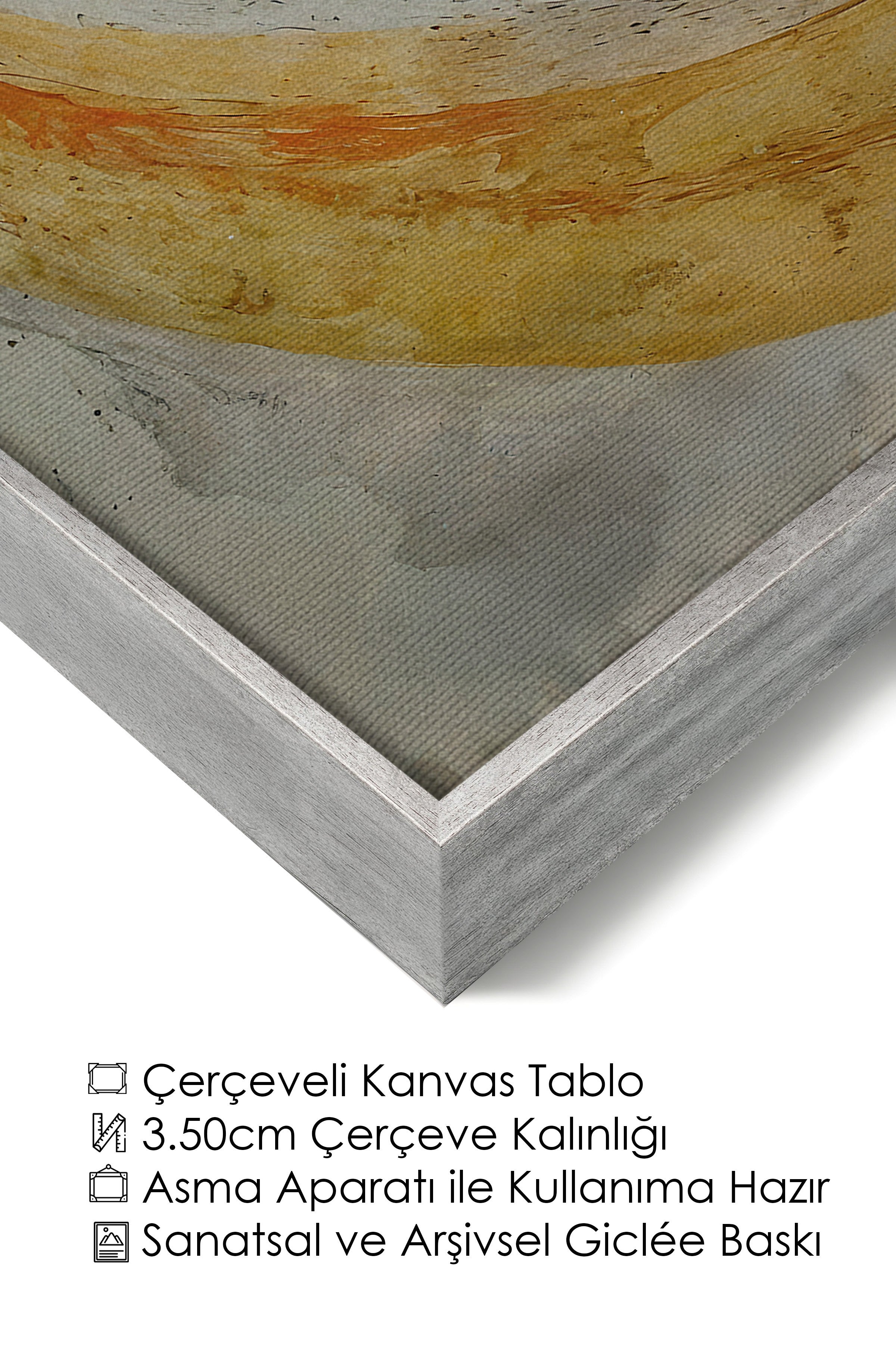 Duvar Tablosu, Lüks Gümüş Çerçeveli Kanvas Tablo, Ritüel Serisi, Kuş Tablo, NO:115235