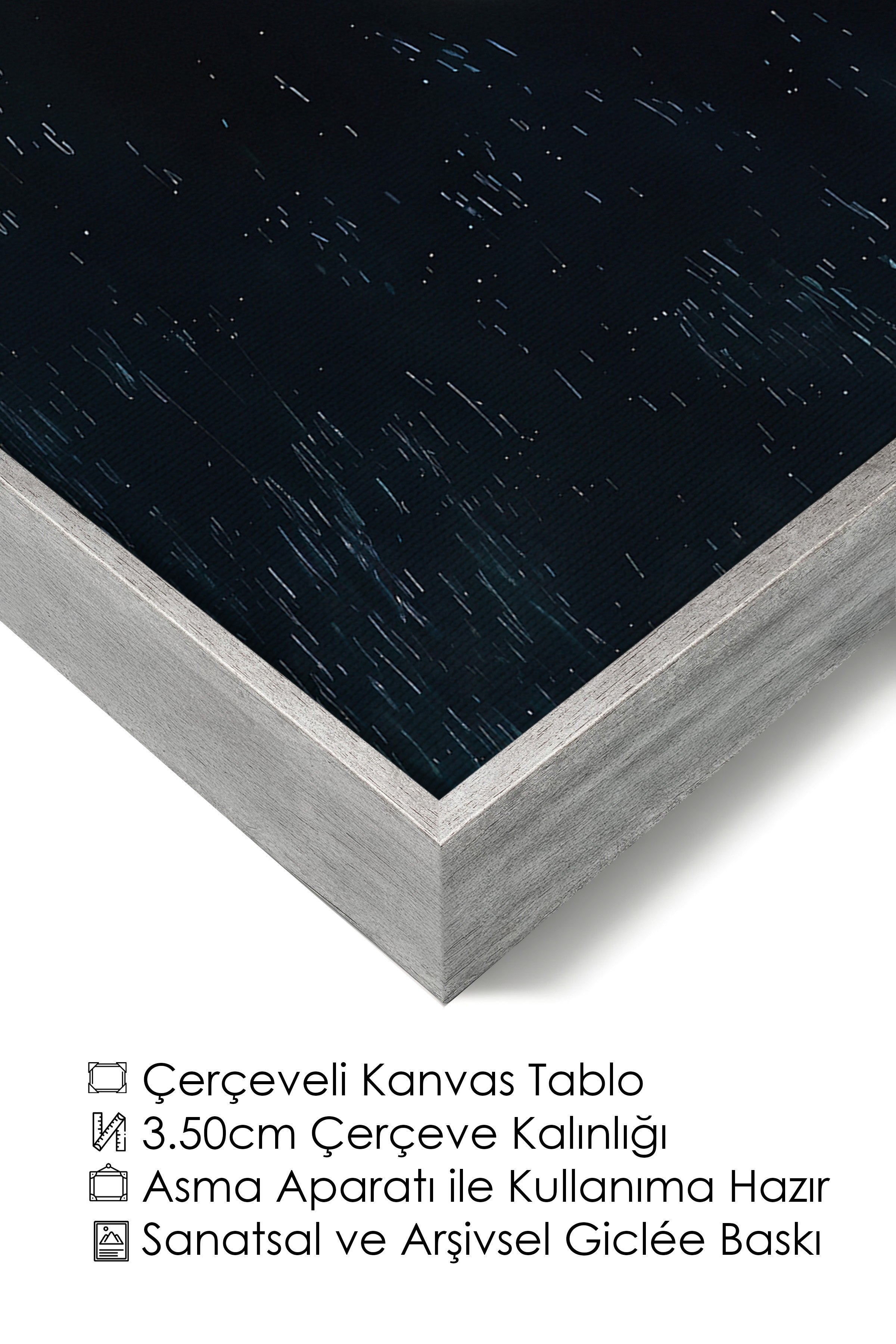 Duvar Tablosu, Lüks Gümüş Çerçeveli Kanvas Tablo, Ritüel Serisi, Kuş Tablo, NO:115243