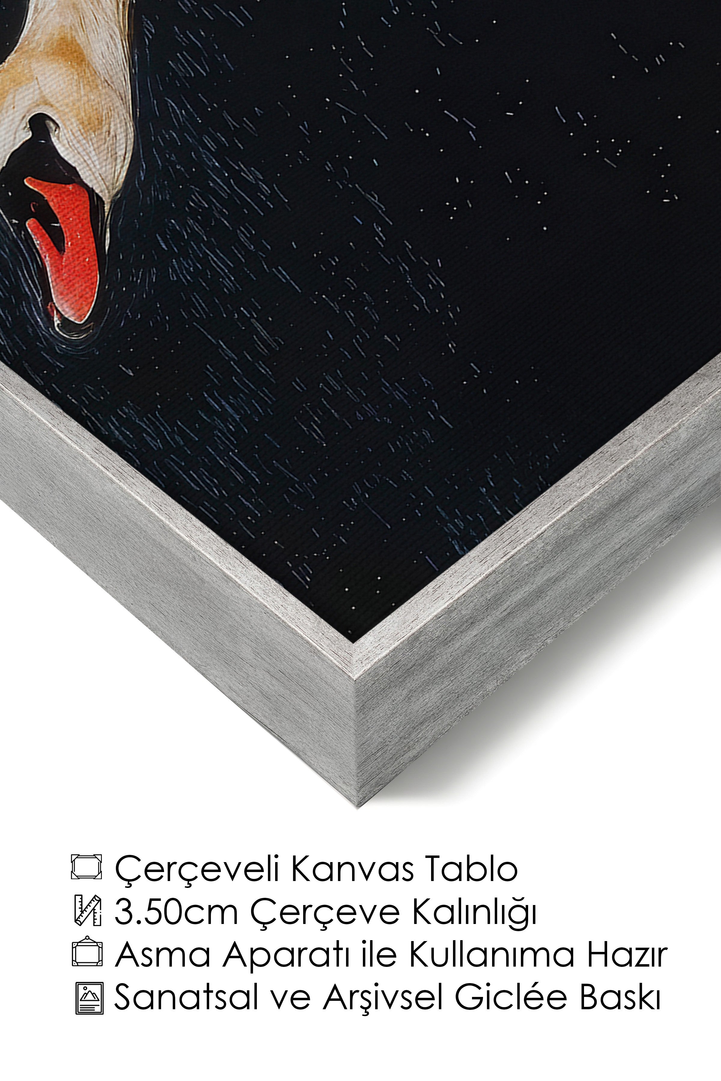 Duvar Tablosu, Lüks Gümüş Çerçeveli Kanvas Tablo, Ritüel Serisi, Kuş Tablo, NO:115246