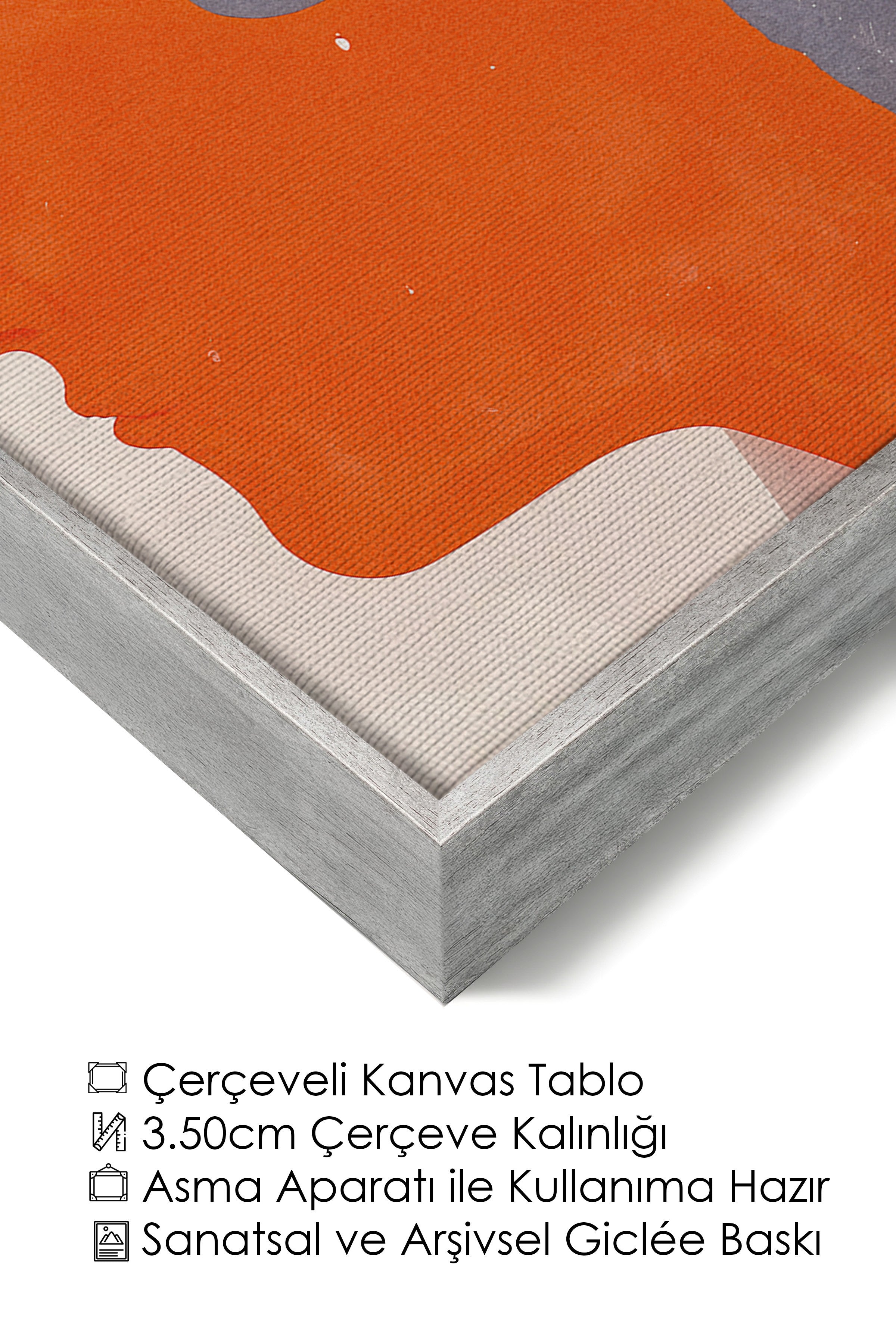 Duvar Tablosu, Lüks Gümüş Çerçeveli Kanvas Tablo, Ritüel Serisi, Maximalist Tablo, NO:115192
