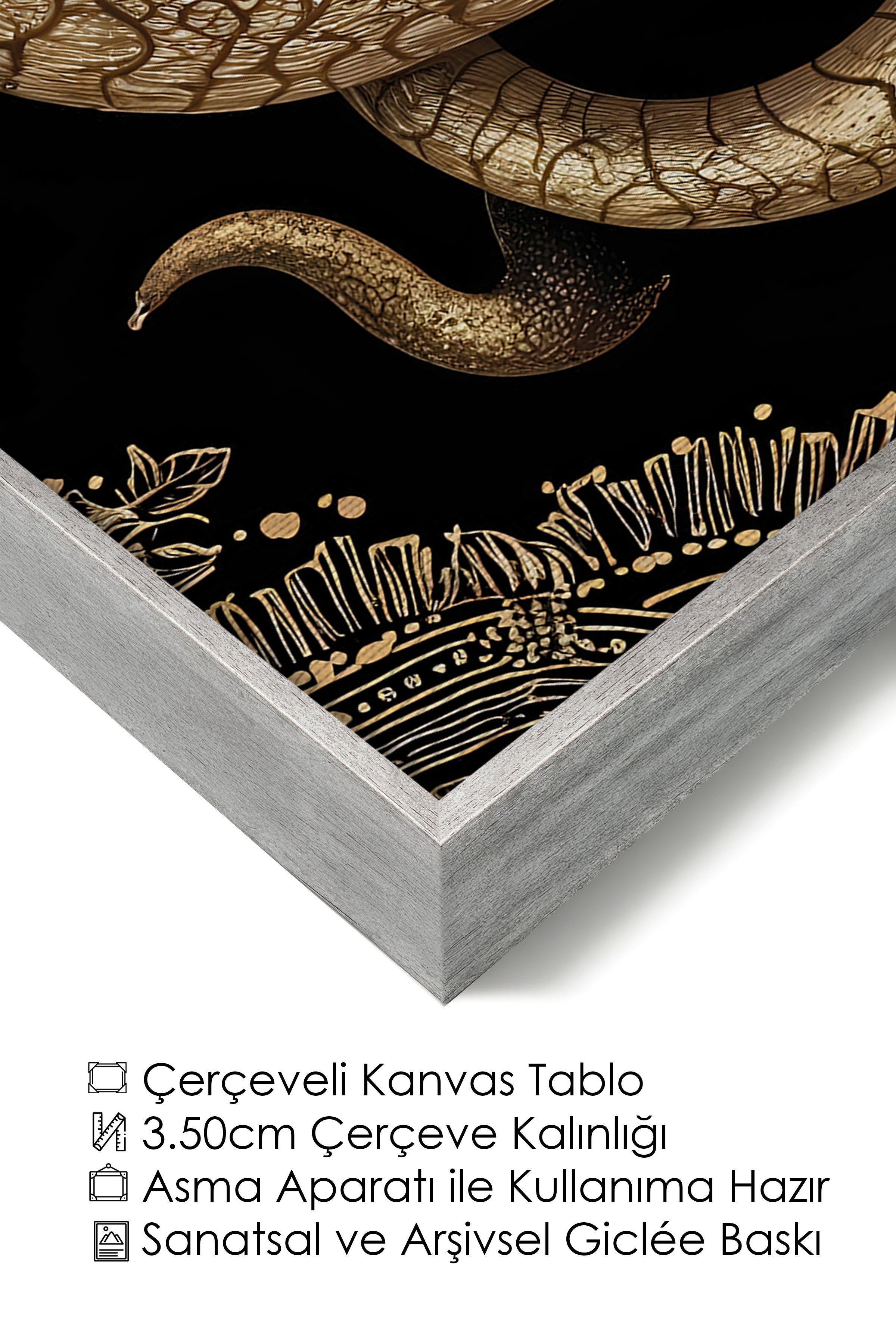 Duvar Tablosu, Lüks Gümüş Çerçeveli Kanvas Tablo, Ritüel Serisi, Yılan Tablo, NO:115271
