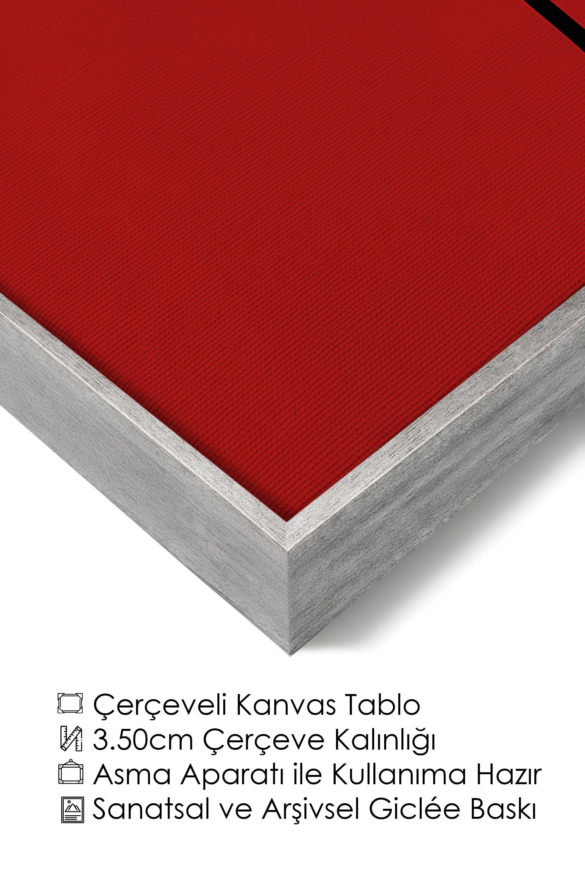 Duvar Tablosu, Lüks Gümüş Çerçeveli Kanvas Tablo, Ritüel Serisi, Yılan Tablo, NO:115276