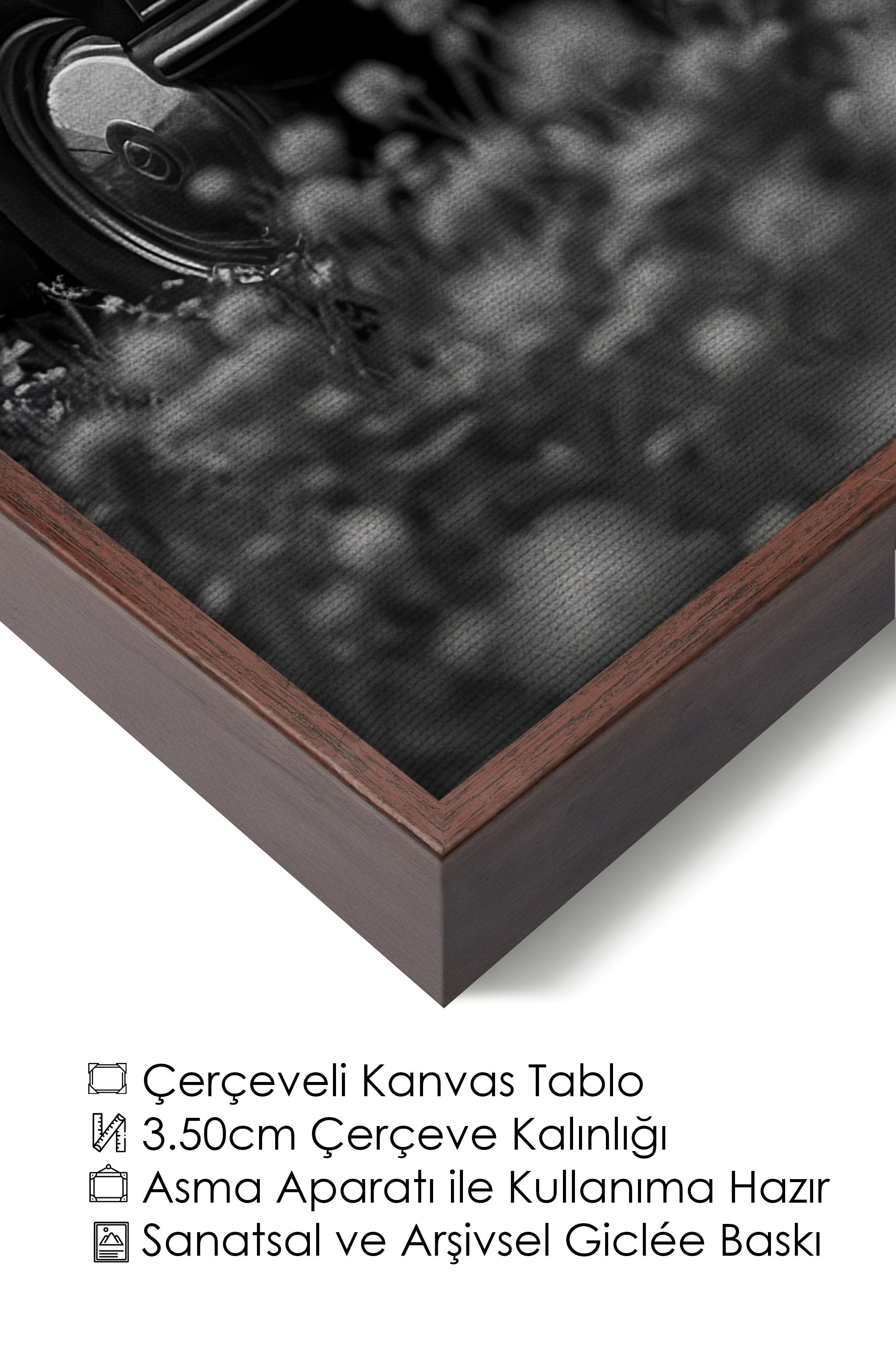 Duvar Tablosu, Lüks Kahverengi Çerçeveli Kanvas Tablo, Ritüel Serisi, At Tablo, NO:115225