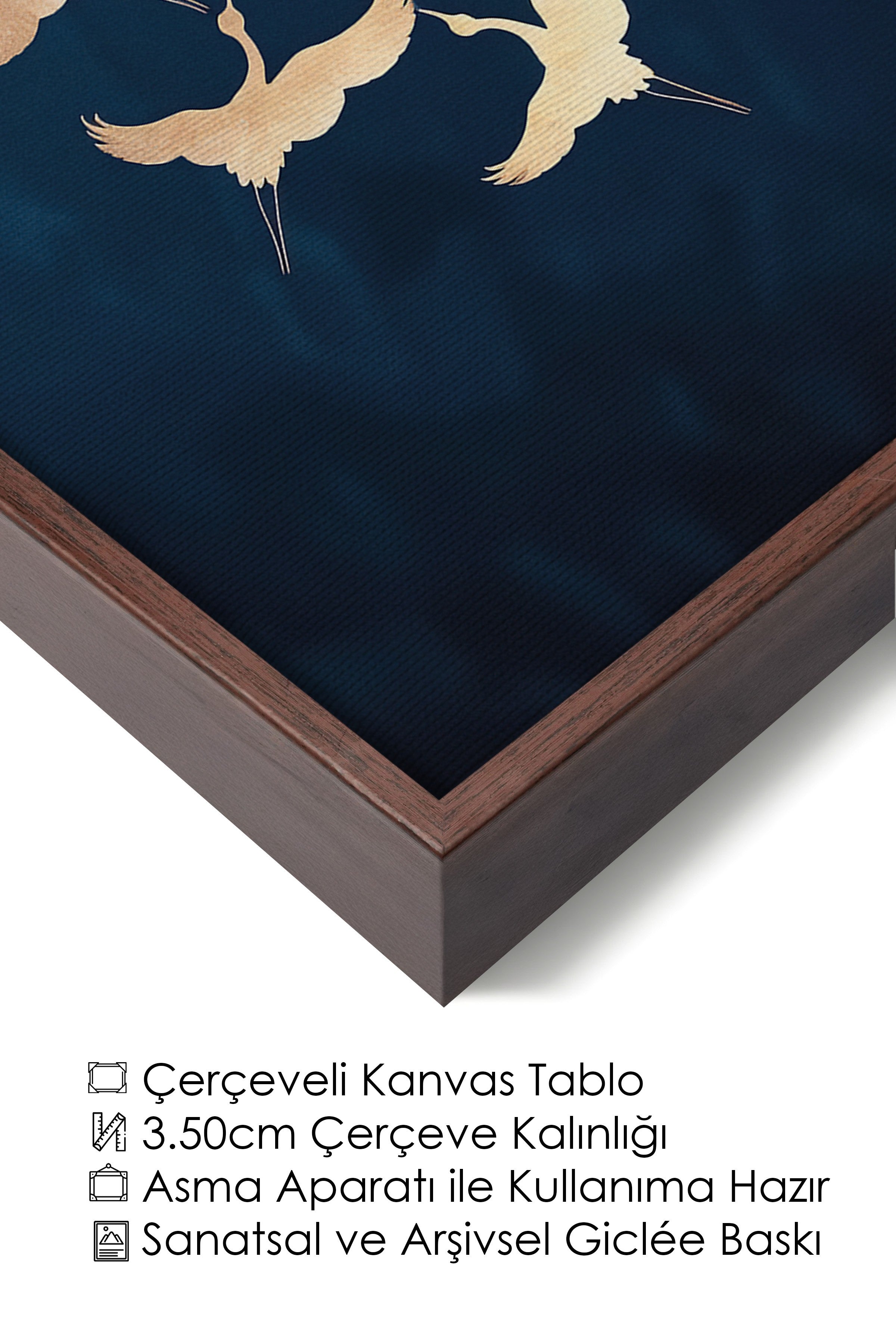 Duvar Tablosu, Lüks Kahverengi Çerçeveli Kanvas Tablo, Ritüel Serisi, Kuş Tablo, NO:115200