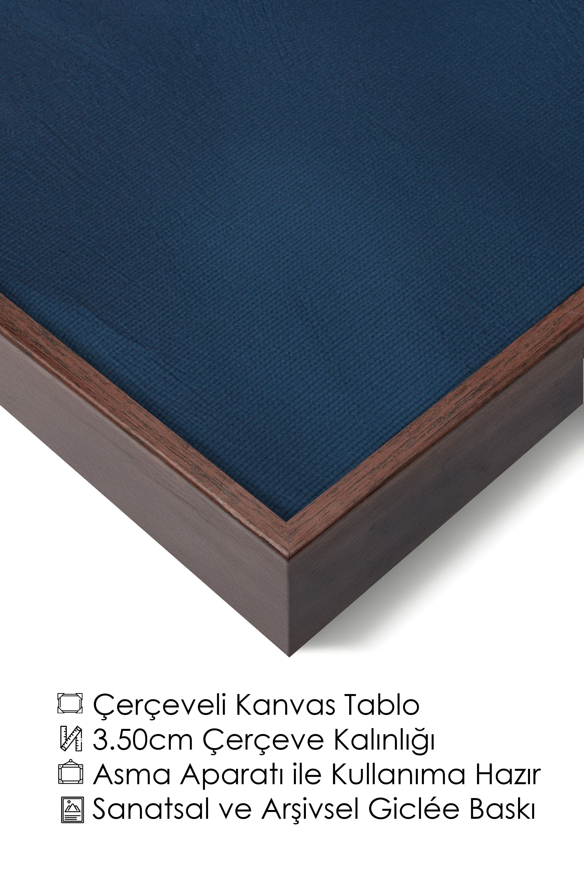 Duvar Tablosu, Lüks Kahverengi Çerçeveli Kanvas Tablo, Ritüel Serisi, Kuş Tablo, NO:115212