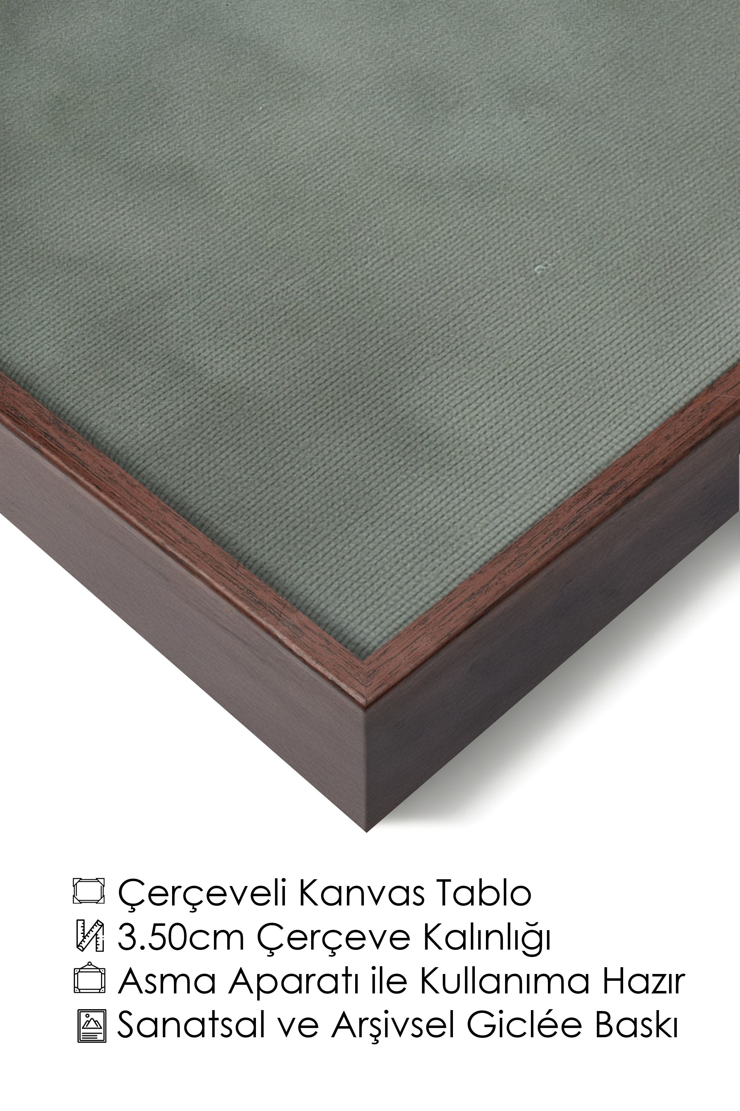 Duvar Tablosu, Lüks Kahverengi Çerçeveli Kanvas Tablo, Ritüel Serisi, Kuş Tablo, NO:115213
