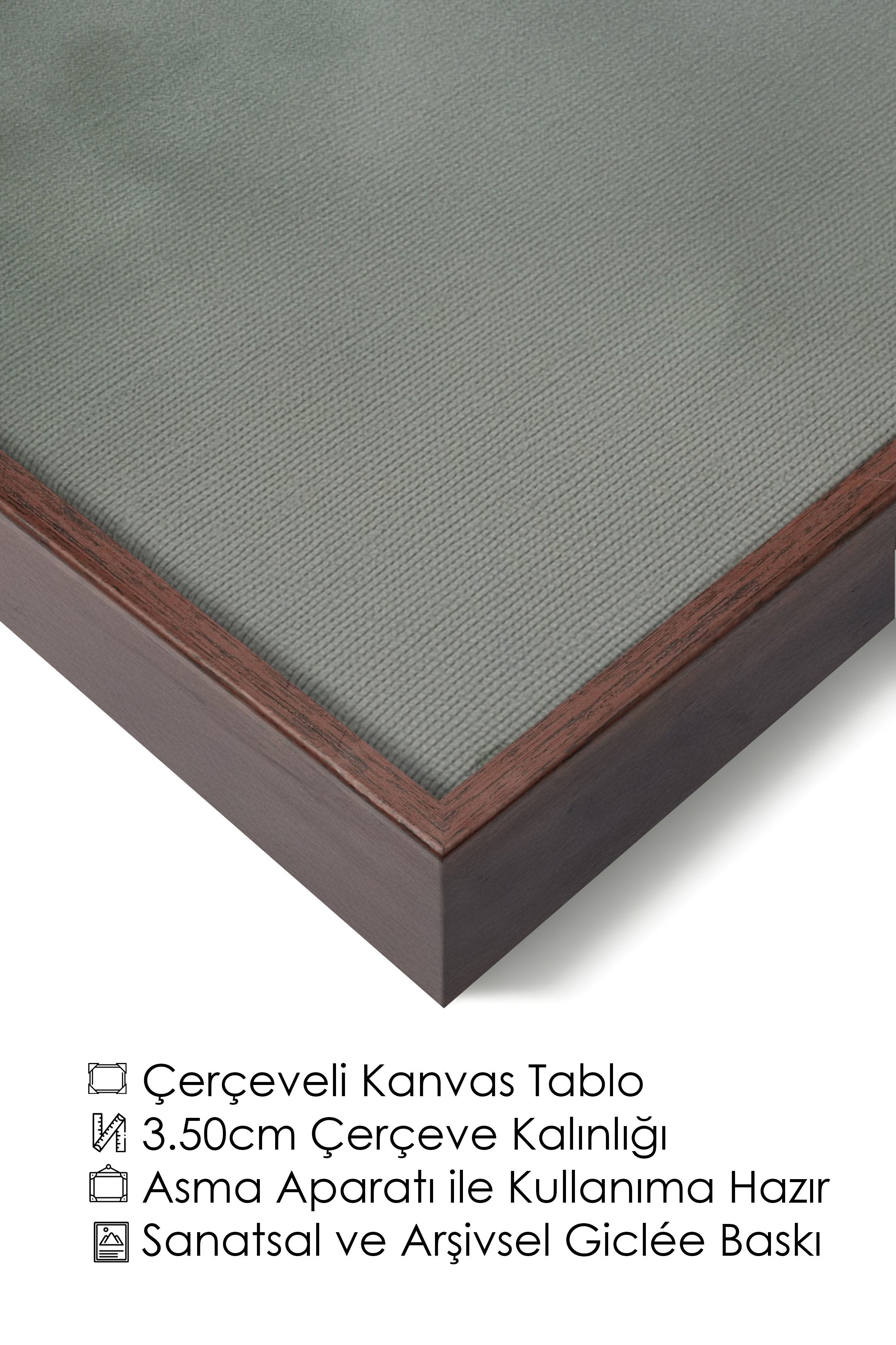 Duvar Tablosu, Lüks Kahverengi Çerçeveli Kanvas Tablo, Ritüel Serisi, Kuş Tablo, NO:115221
