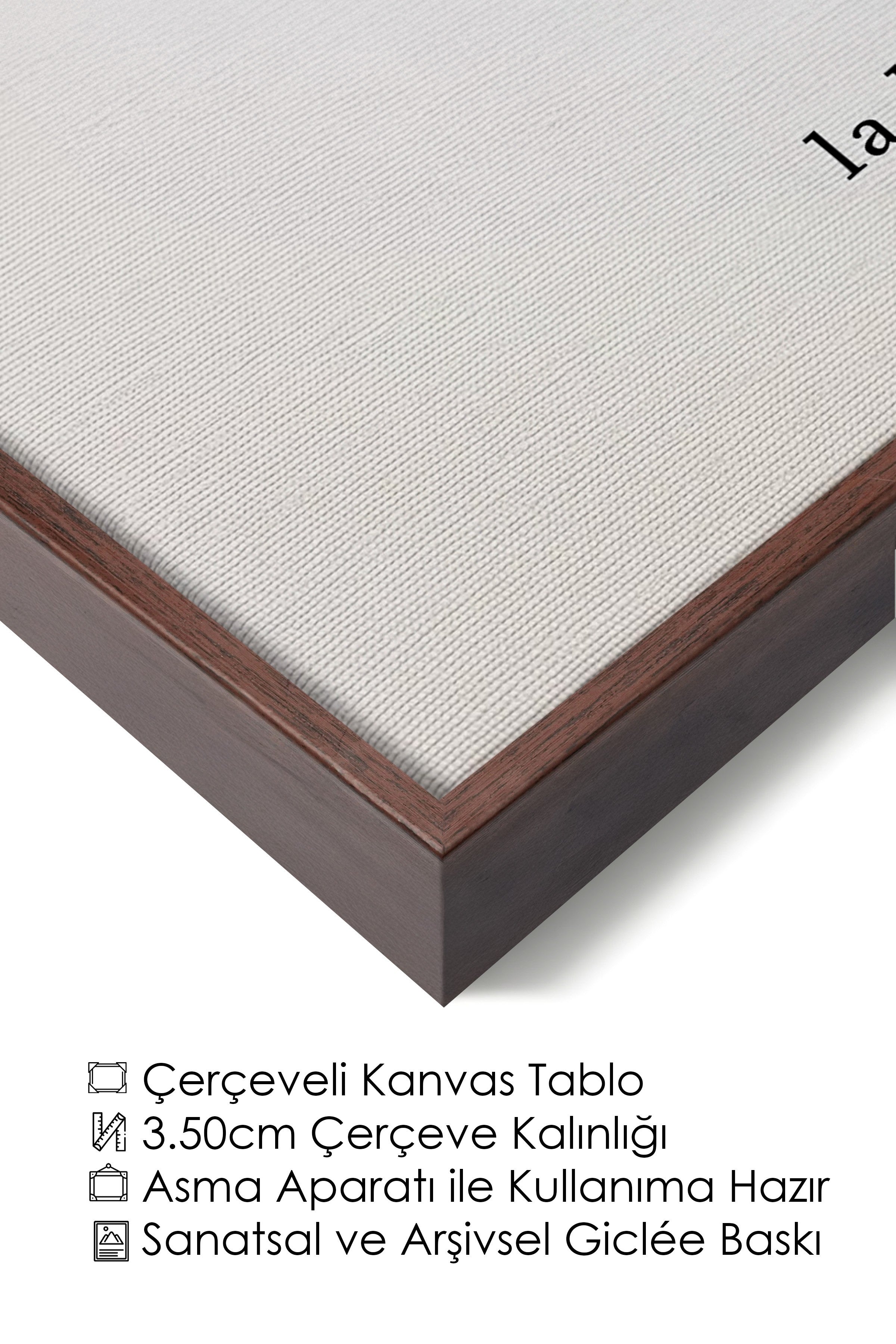 Duvar Tablosu, Lüks Kahverengi Çerçeveli Kanvas Tablo, Ritüel Serisi, Kuş Tablo, NO:115227