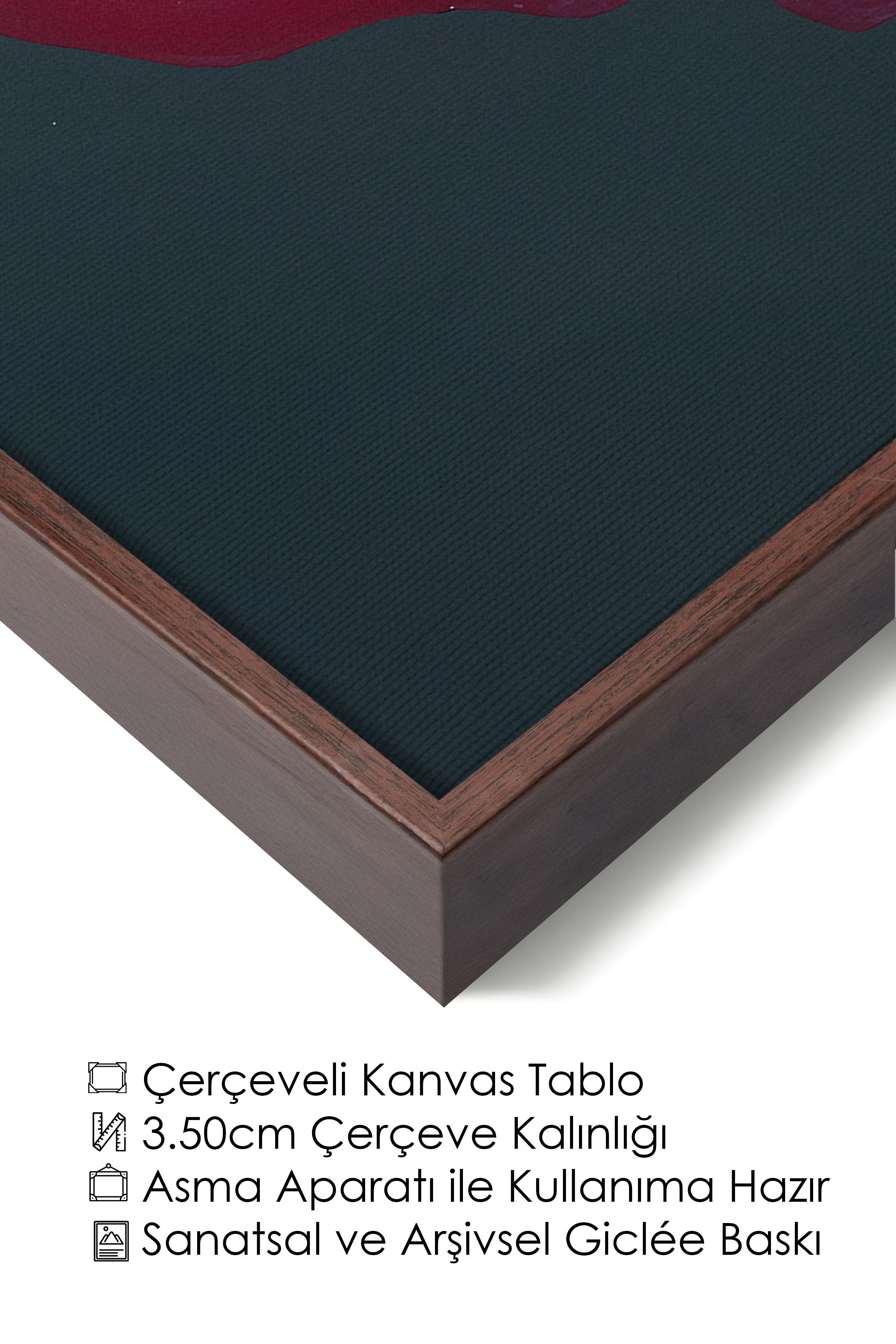 Duvar Tablosu, Lüks Kahverengi Çerçeveli Kanvas Tablo, Ritüel Serisi, Kuş Tablo, NO:115228