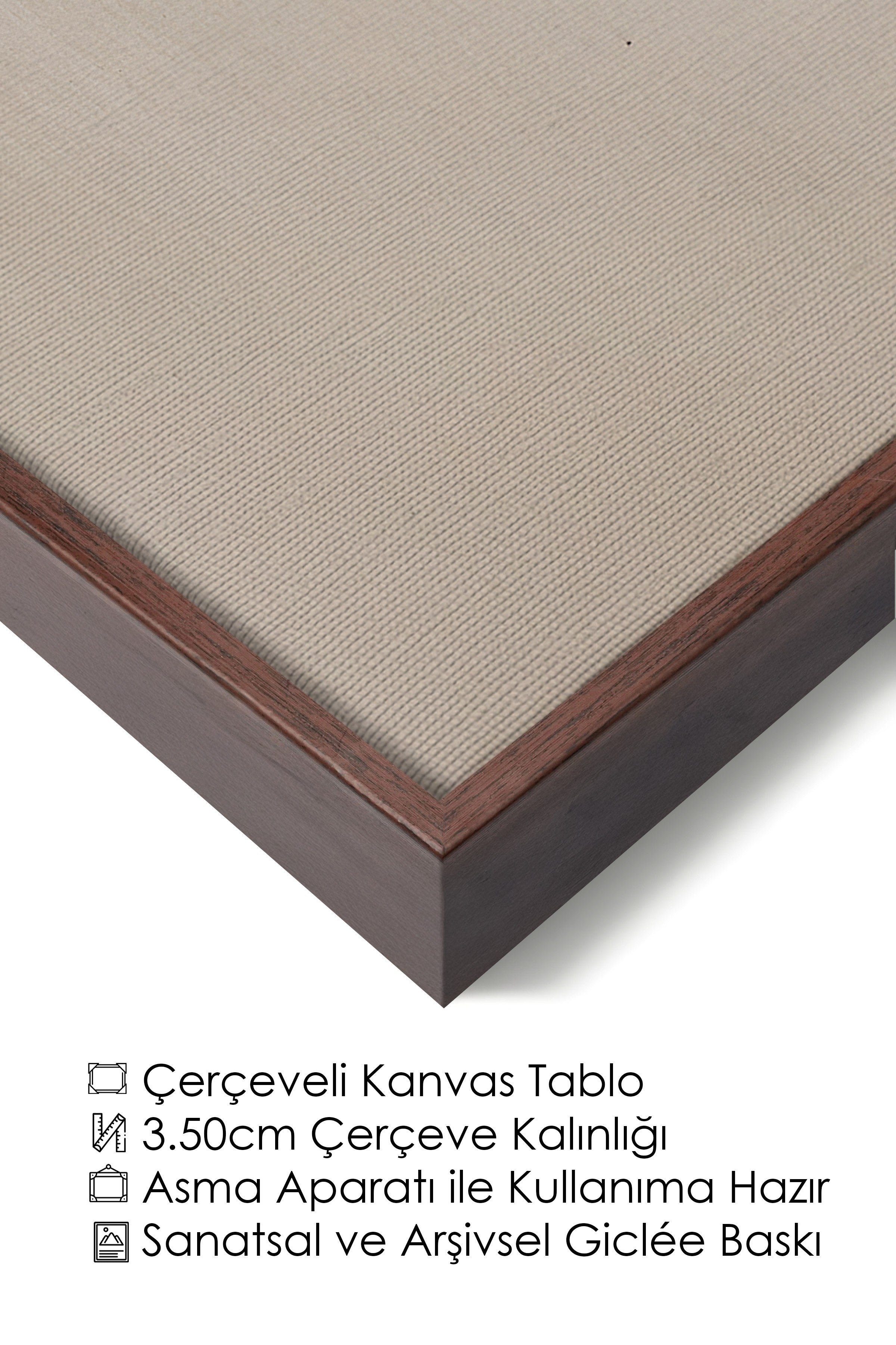 Duvar Tablosu, Lüks Kahverengi Çerçeveli Kanvas Tablo, Ritüel Serisi, Kuş Tablo, NO:115231