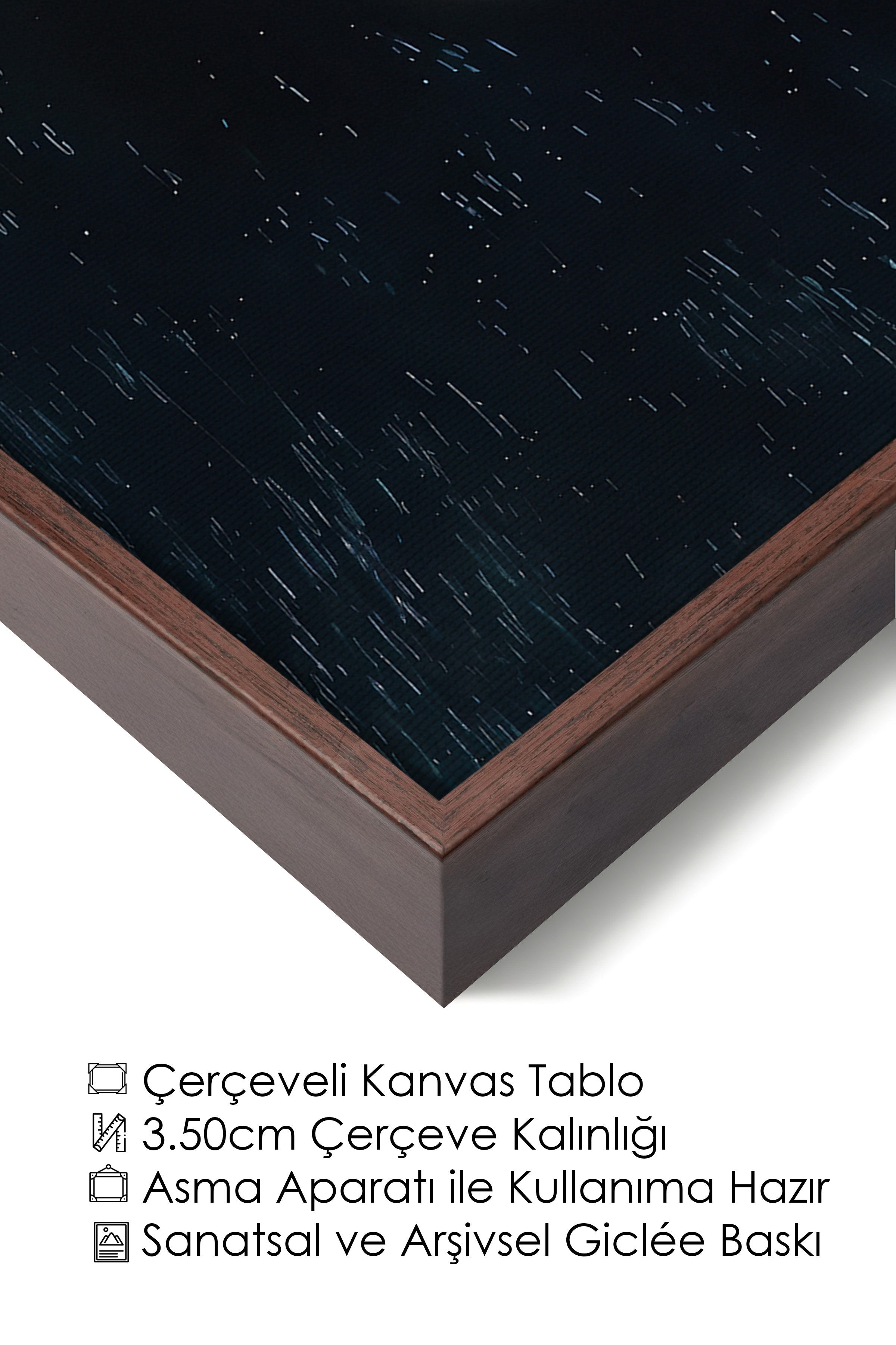 Duvar Tablosu, Lüks Kahverengi Çerçeveli Kanvas Tablo, Ritüel Serisi, Kuş Tablo, NO:115243