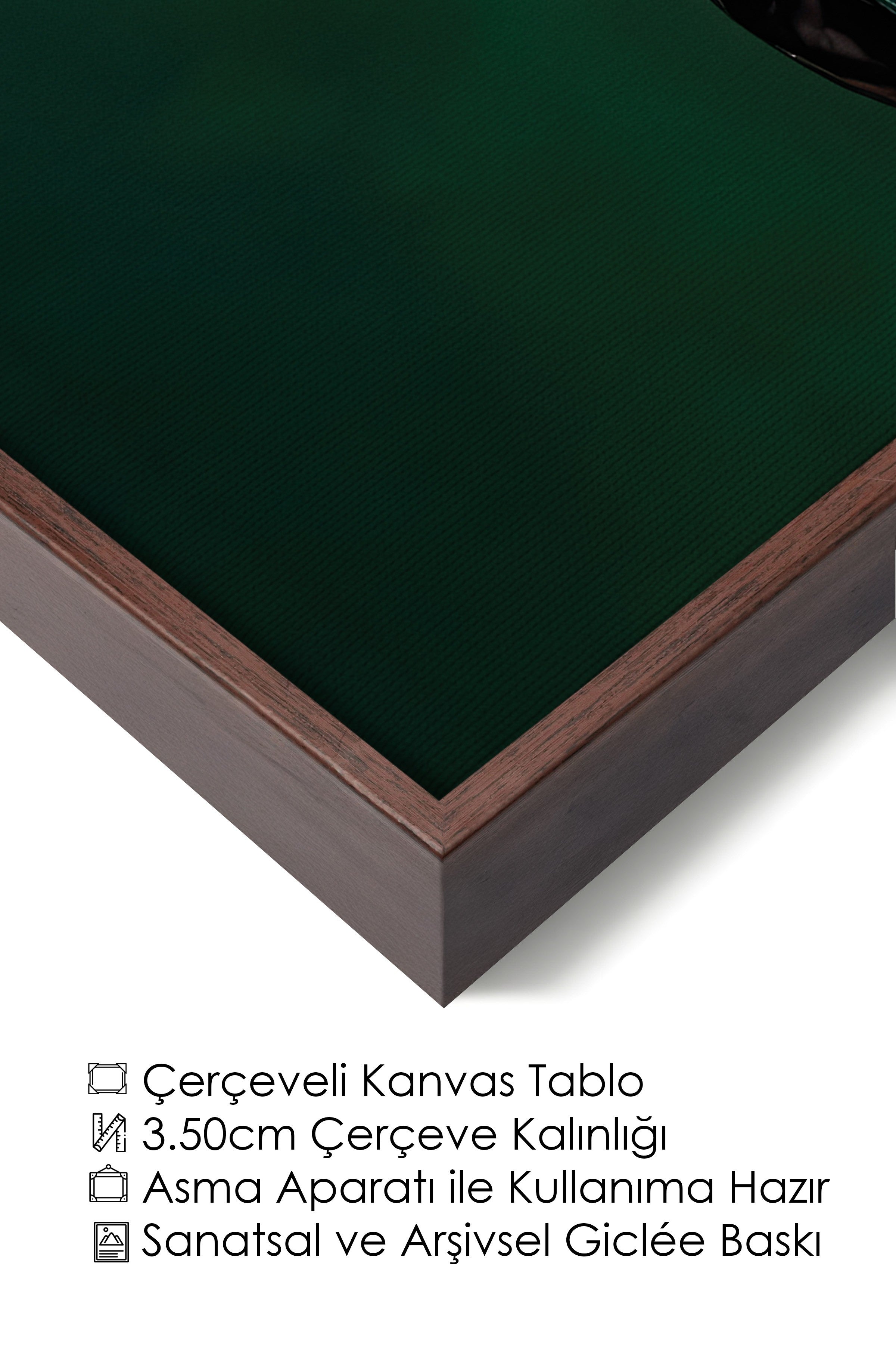 Duvar Tablosu, Lüks Kahverengi Çerçeveli Kanvas Tablo, Ritüel Serisi, Kuş Tablo, NO:115245
