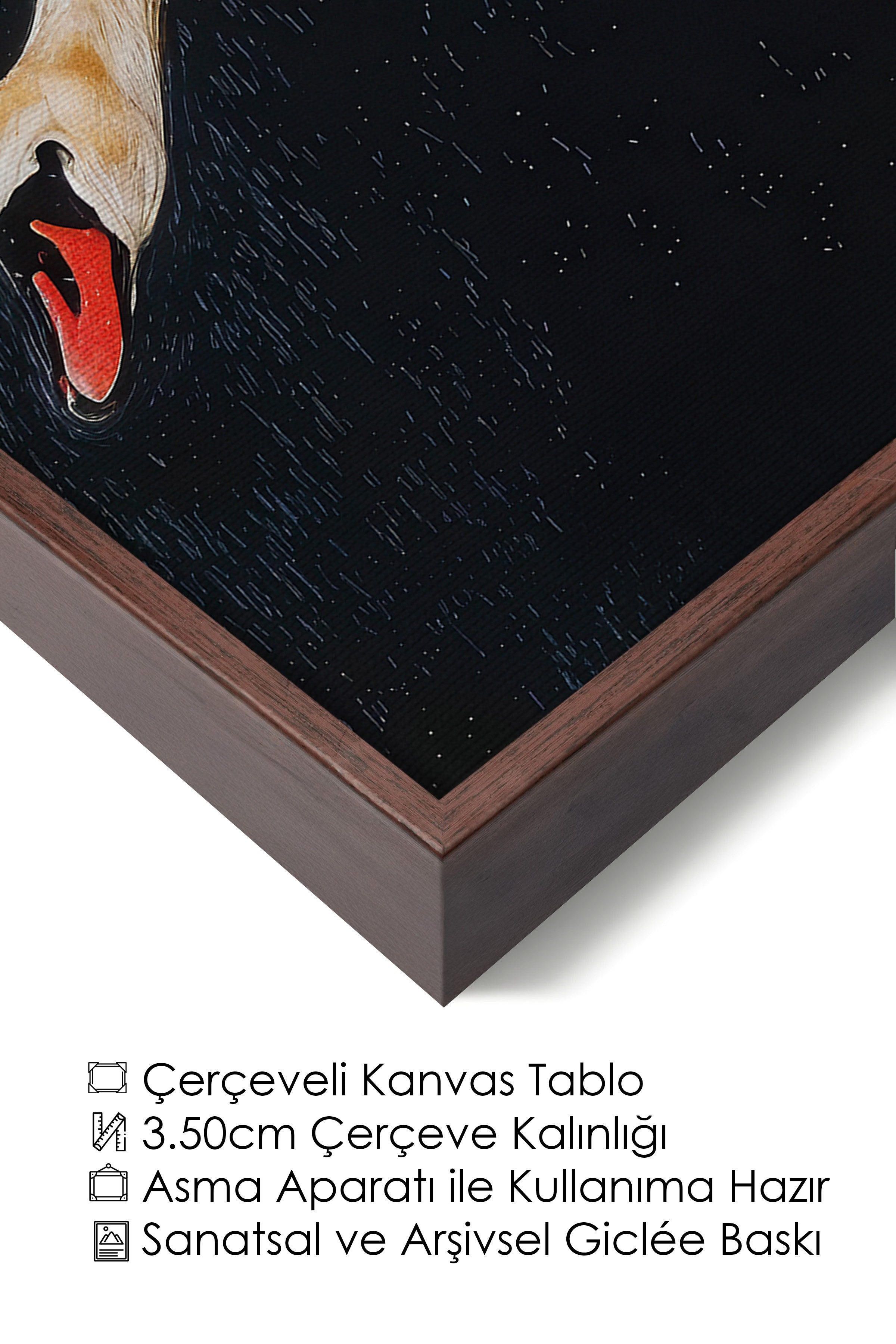 Duvar Tablosu, Lüks Kahverengi Çerçeveli Kanvas Tablo, Ritüel Serisi, Kuş Tablo, NO:115246