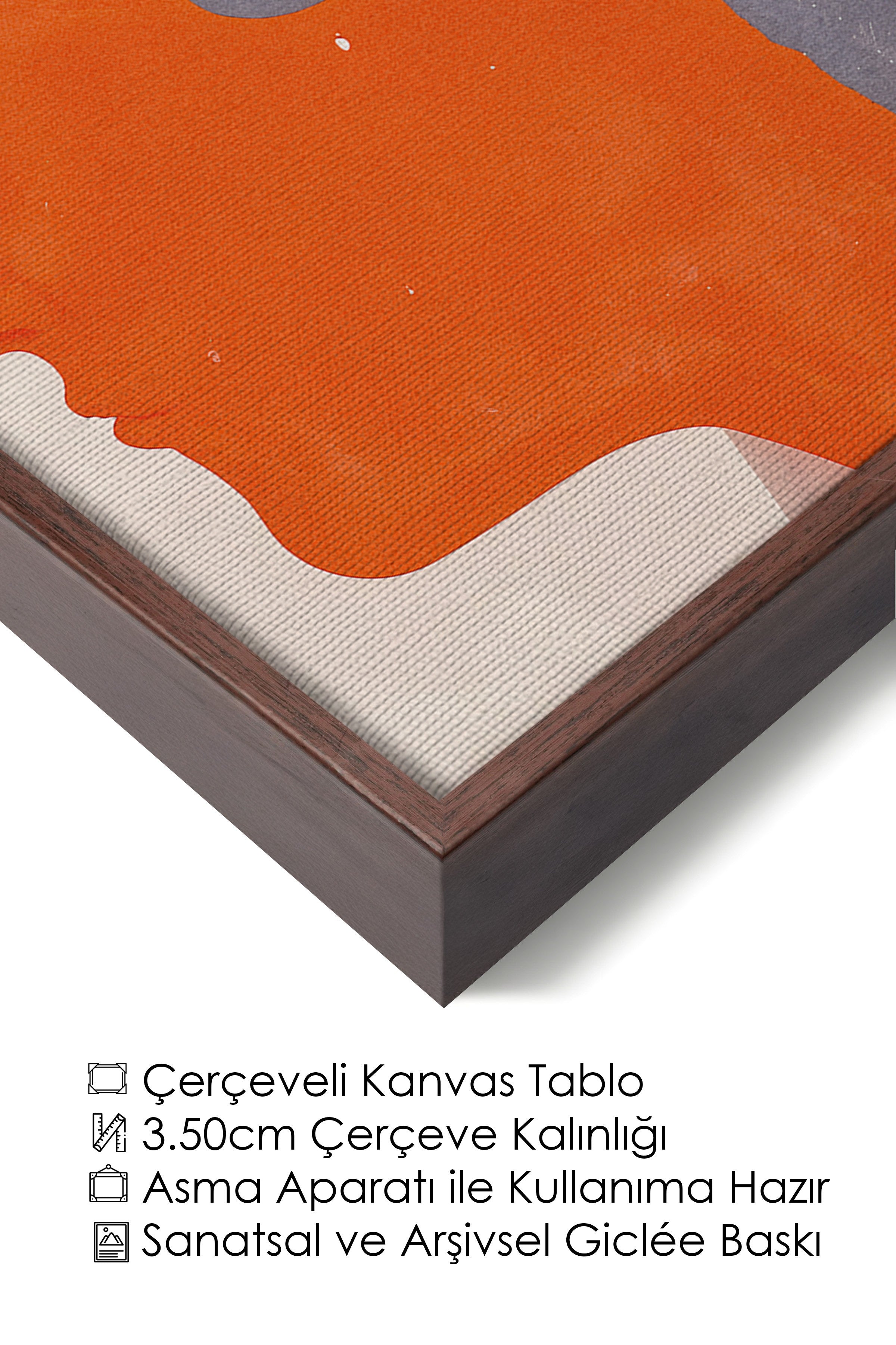 Duvar Tablosu, Lüks Kahverengi Çerçeveli Kanvas Tablo, Ritüel Serisi, Maximalist Tablo, NO:115192