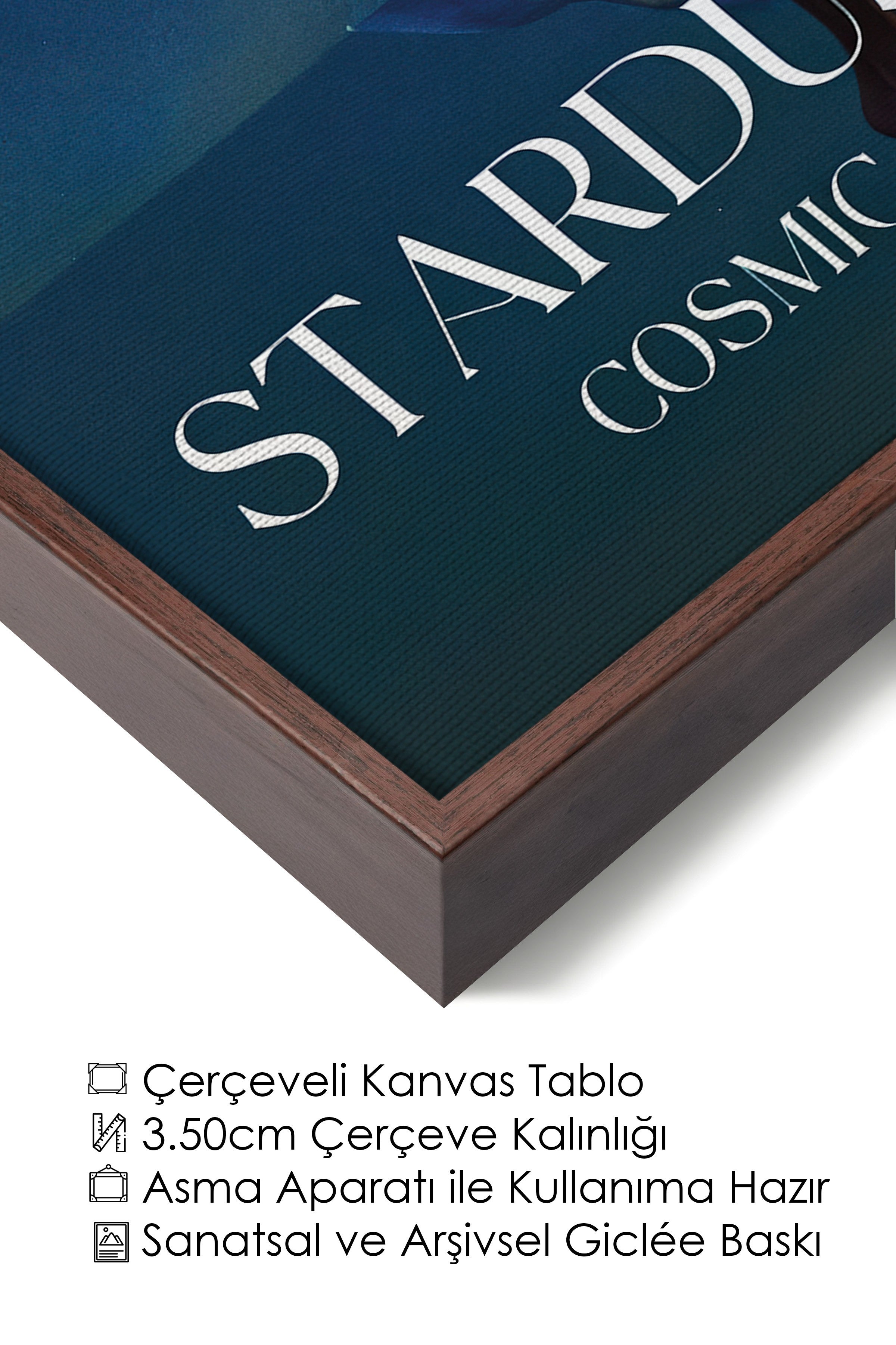 Duvar Tablosu, Lüks Kahverengi Çerçeveli Kanvas Tablo, Ritüel Serisi, NO:115215