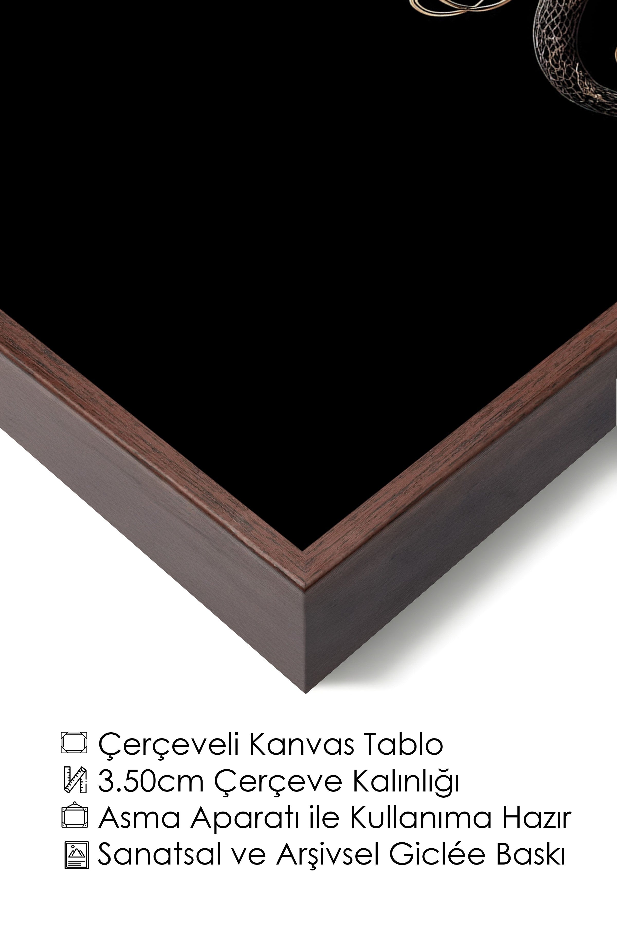Duvar Tablosu, Lüks Kahverengi Çerçeveli Kanvas Tablo, Ritüel Serisi, Yılan Tablo, NO:115259