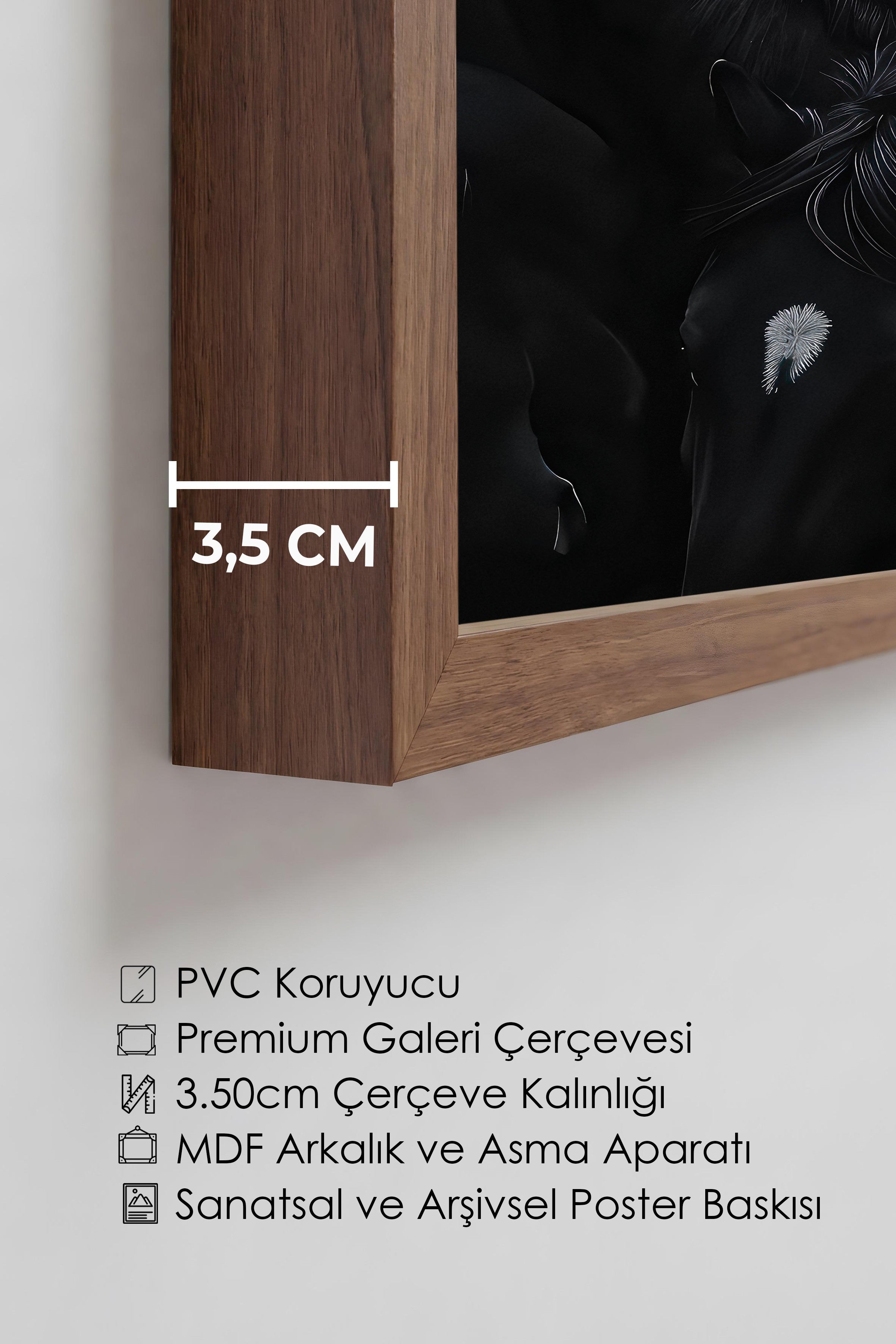 Duvar Tablosu, Lüks Kahverengi Çerçeveli Tablo ve Poster, Ritüel Serisi, At Tablo, NO:115190