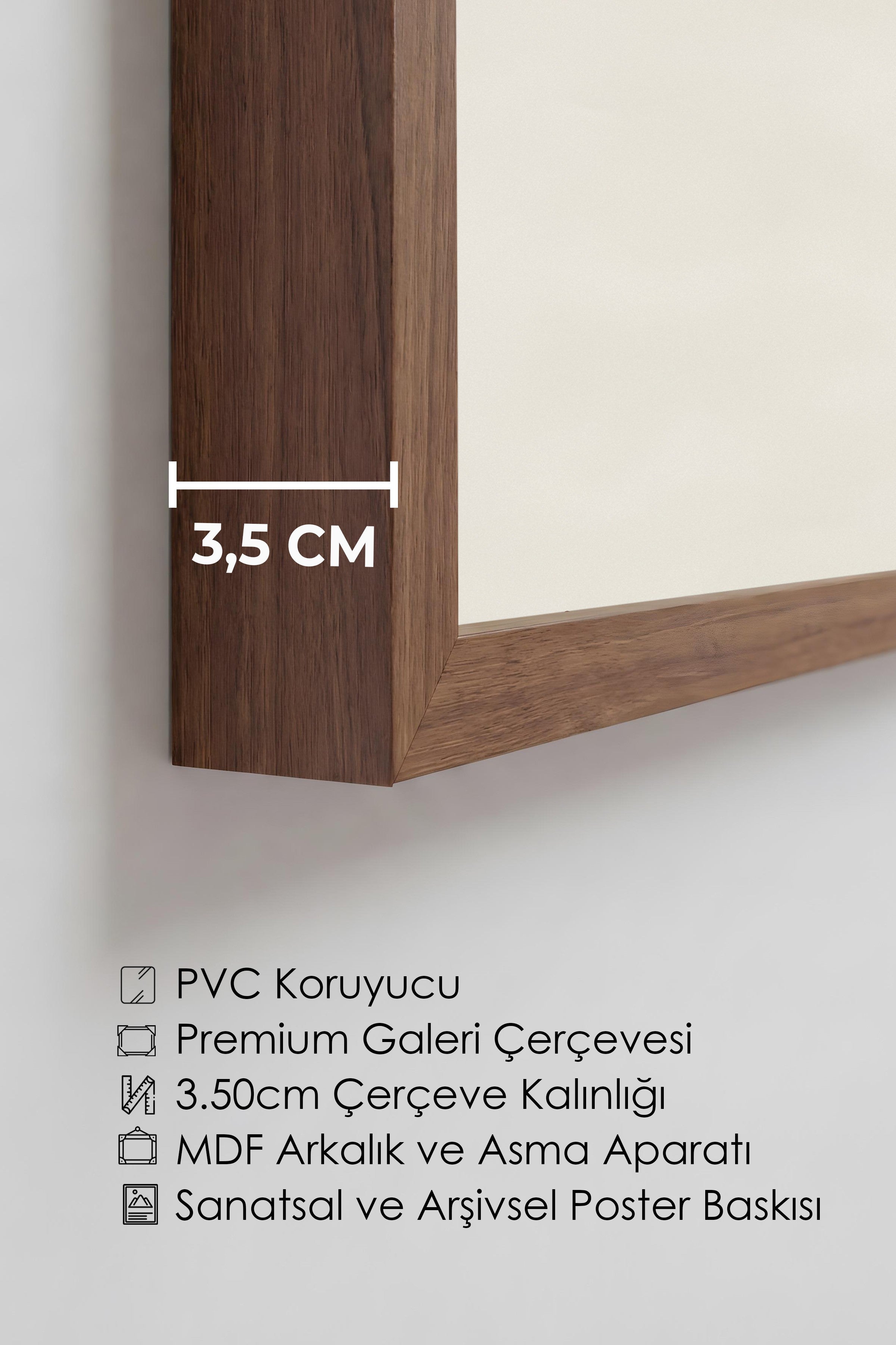 Duvar Tablosu, Lüks Kahverengi Çerçeveli Tablo ve Poster, Ritüel Serisi, Kuş Tablo, NO:115204