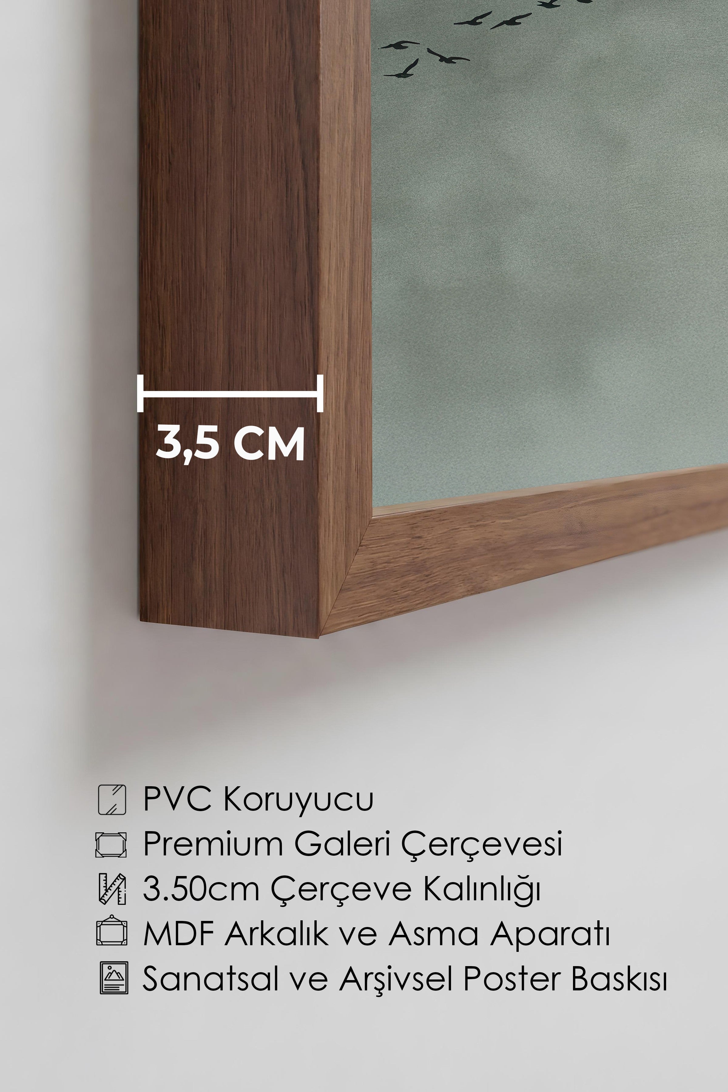 Duvar Tablosu, Lüks Kahverengi Çerçeveli Tablo ve Poster, Ritüel Serisi, Kuş Tablo, NO:115213
