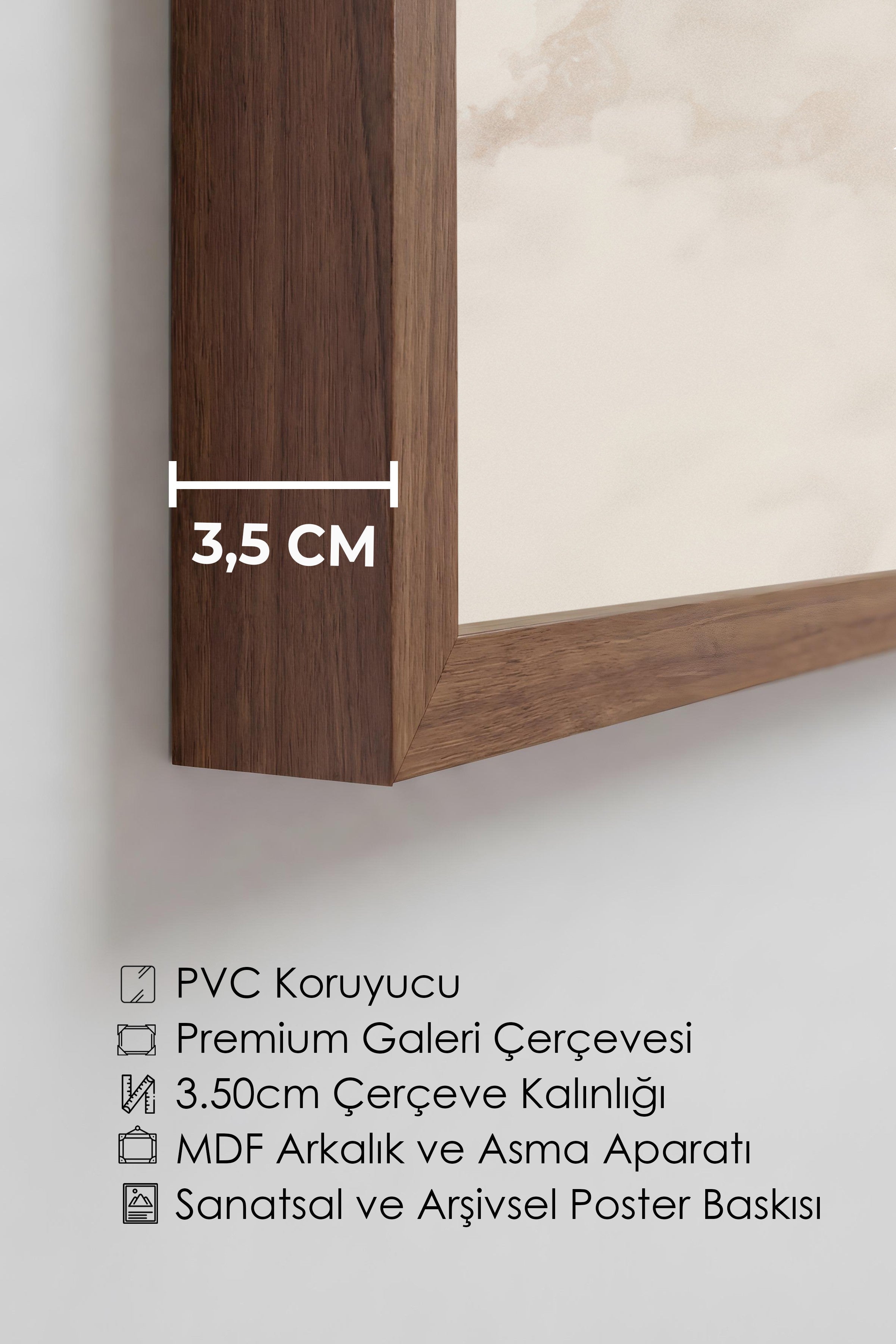 Duvar Tablosu, Lüks Kahverengi Çerçeveli Tablo ve Poster, Ritüel Serisi, Kuş Tablo, NO:115239