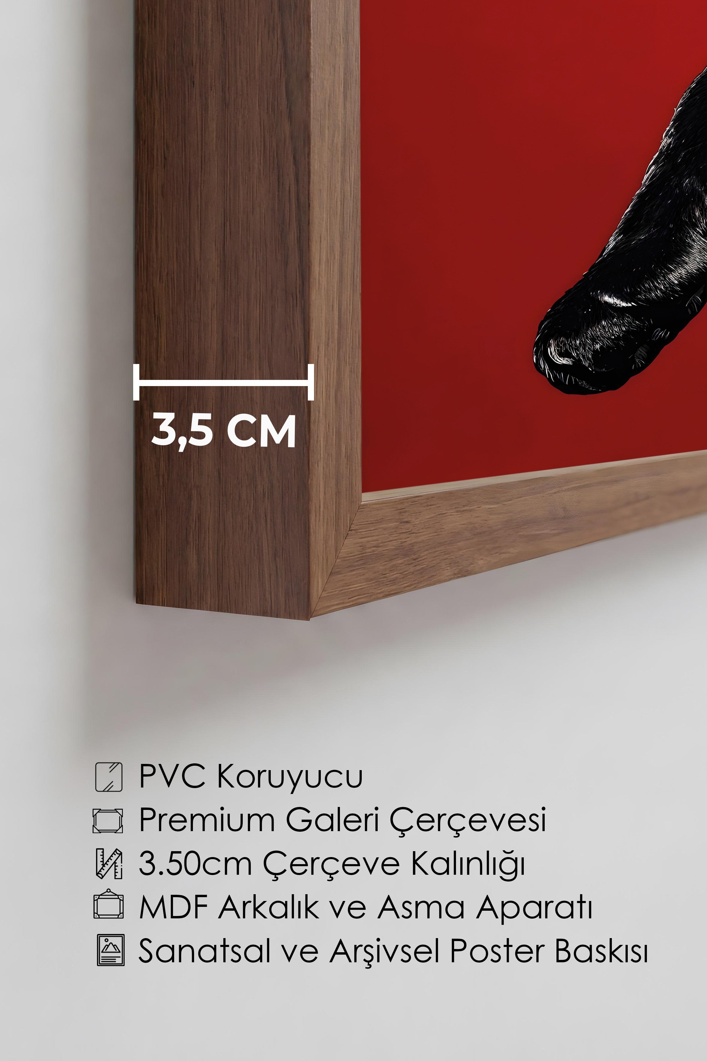 Duvar Tablosu, Lüks Kahverengi Çerçeveli Tablo ve Poster, Ritüel Serisi, Leopar Tablo, NO:115261