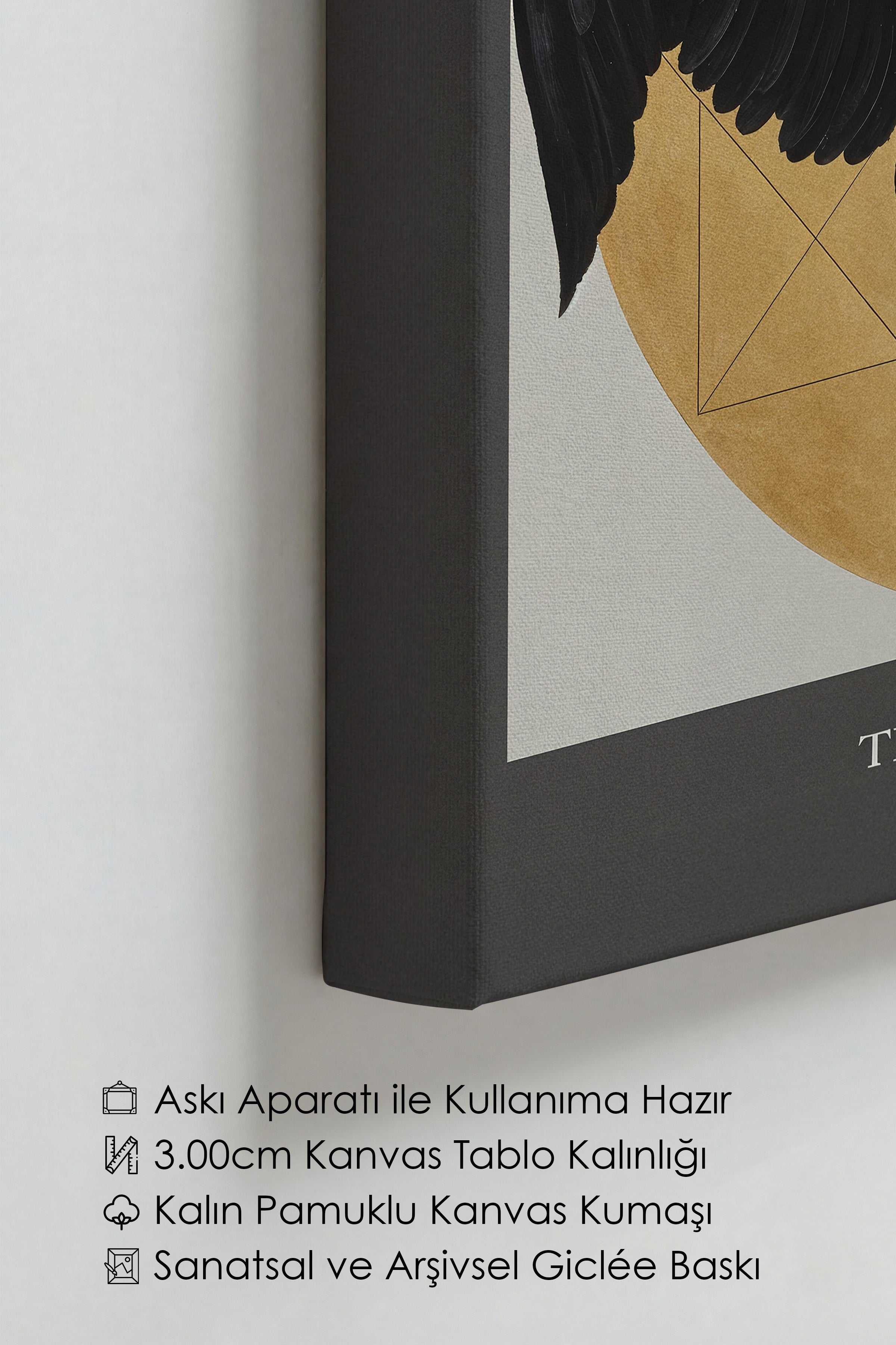 Duvar Tablosu, Lüks Kanvas Tablo, Ritüel Serisi, Kuş Tablo, NO:115216