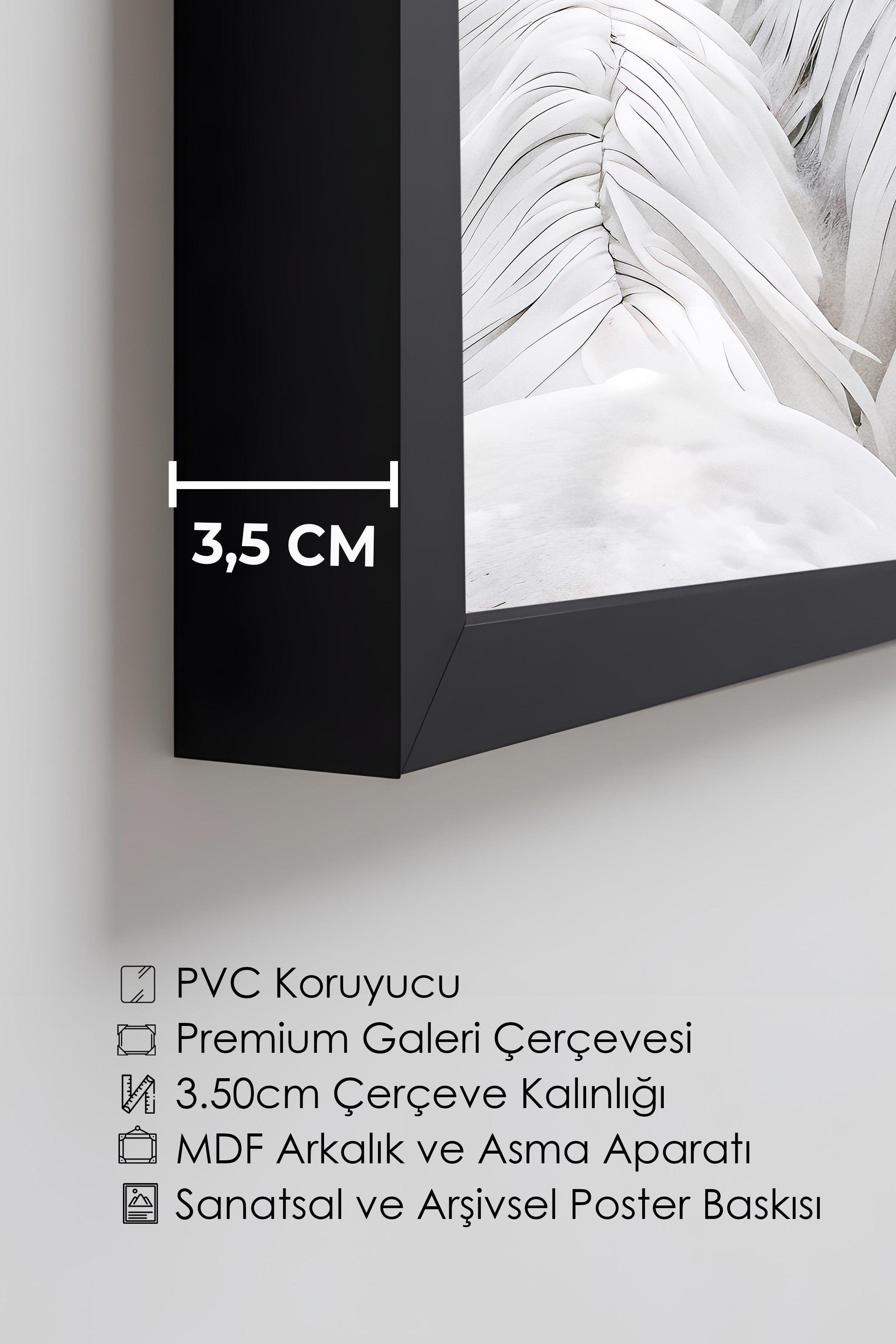 Duvar Tablosu, Lüks Siyah Çerçeveli Tablo ve Poster, Ritüel Serisi, At Tablo, NO:115191