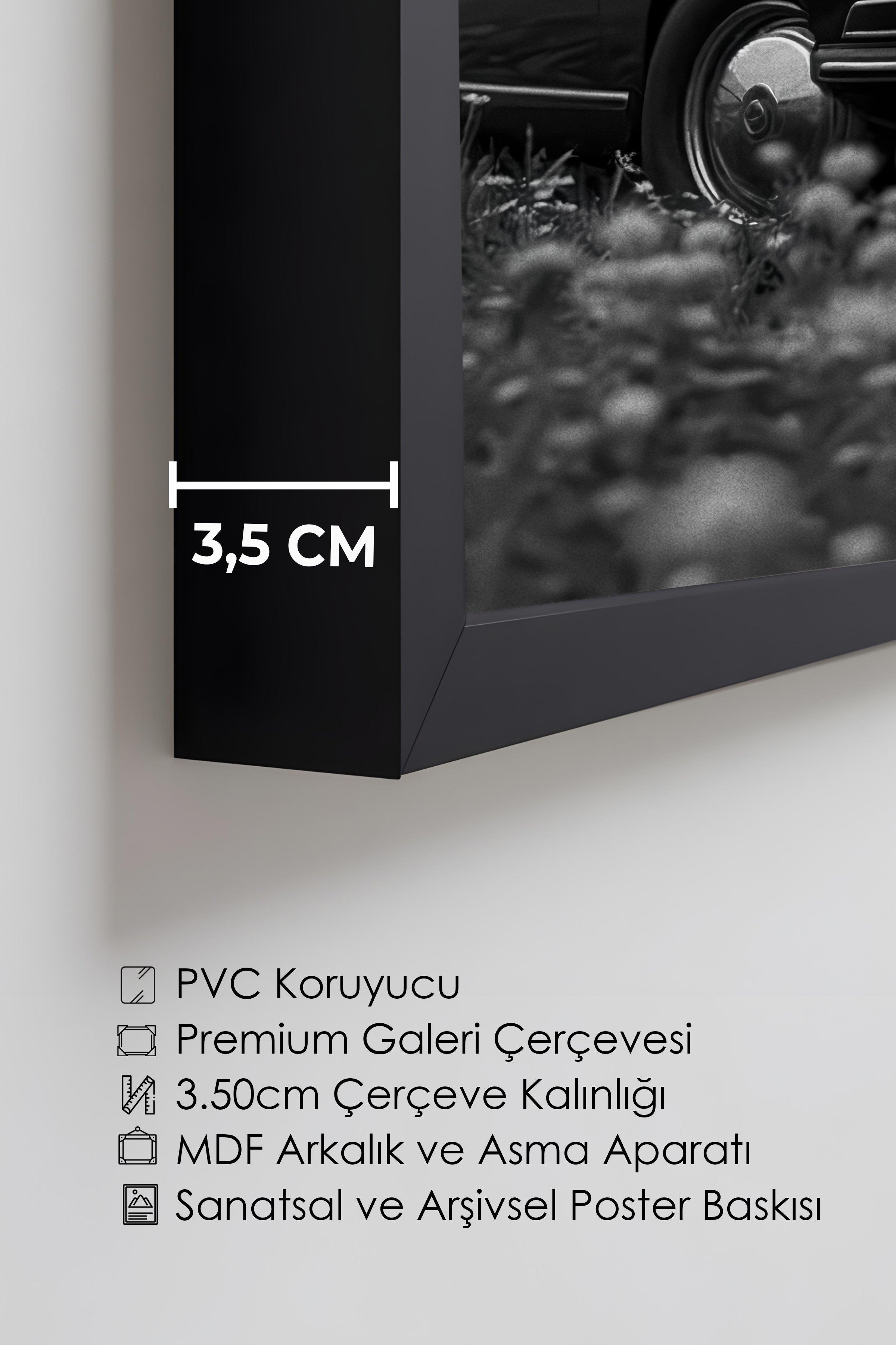 Duvar Tablosu, Lüks Siyah Çerçeveli Tablo ve Poster, Ritüel Serisi, At Tablo, NO:115225