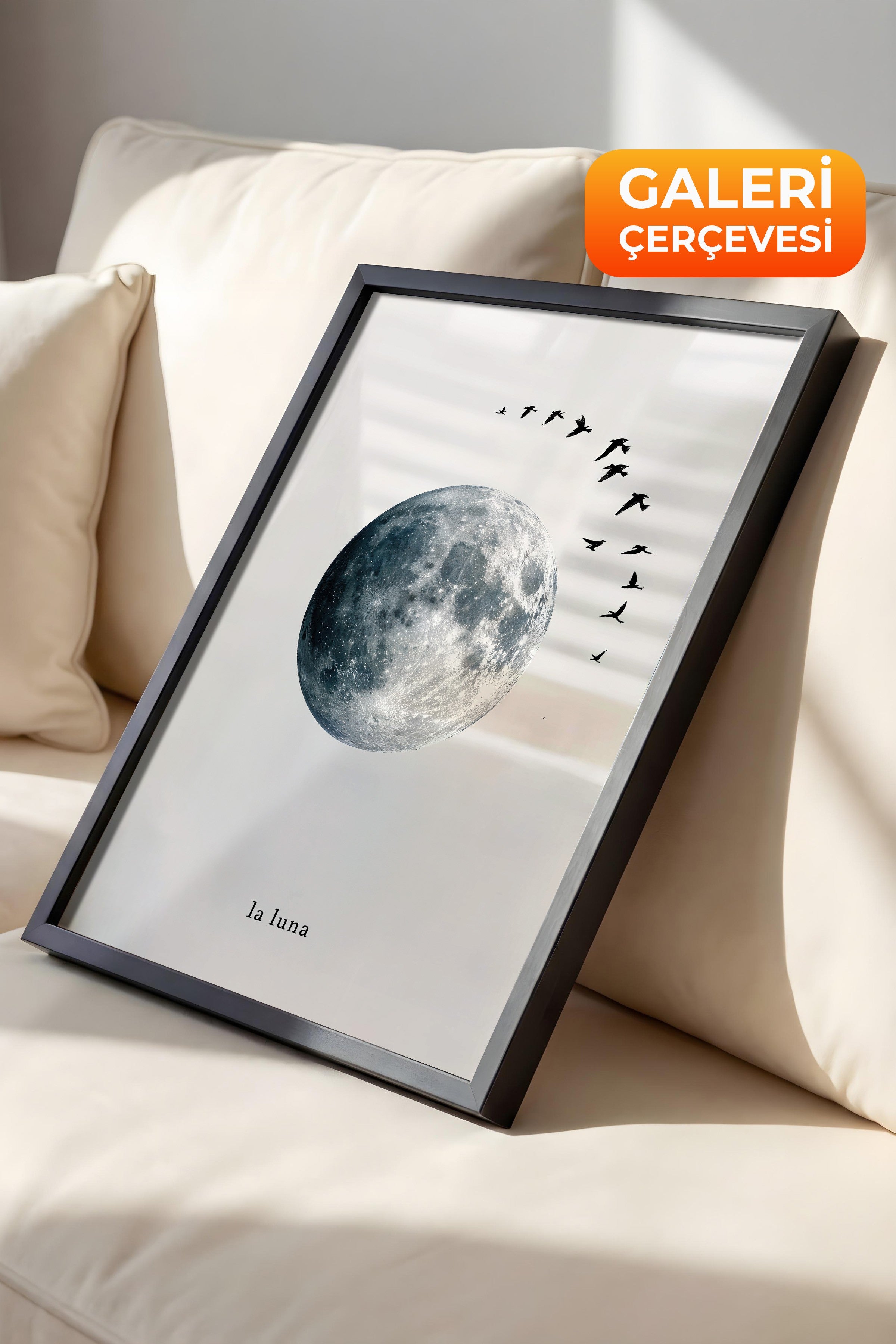 Duvar Tablosu, Lüks Siyah Çerçeveli Tablo ve Poster, Ritüel Serisi, Kuş Tablo, NO:115227
