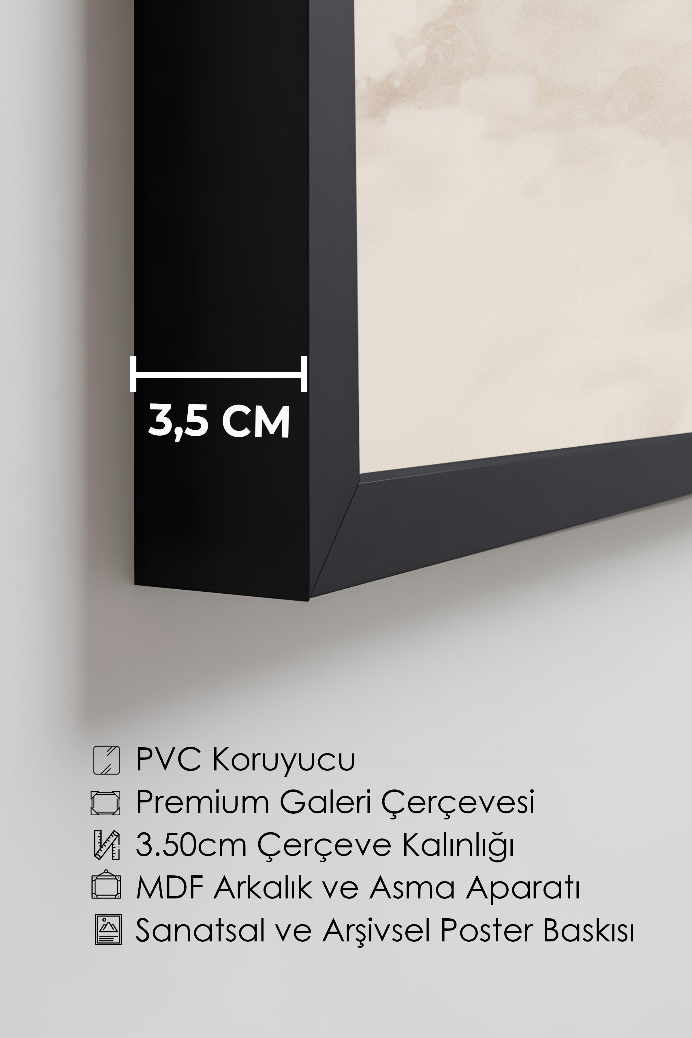 Duvar Tablosu, Lüks Siyah Çerçeveli Tablo ve Poster, Ritüel Serisi, Kuş Tablo, NO:115239
