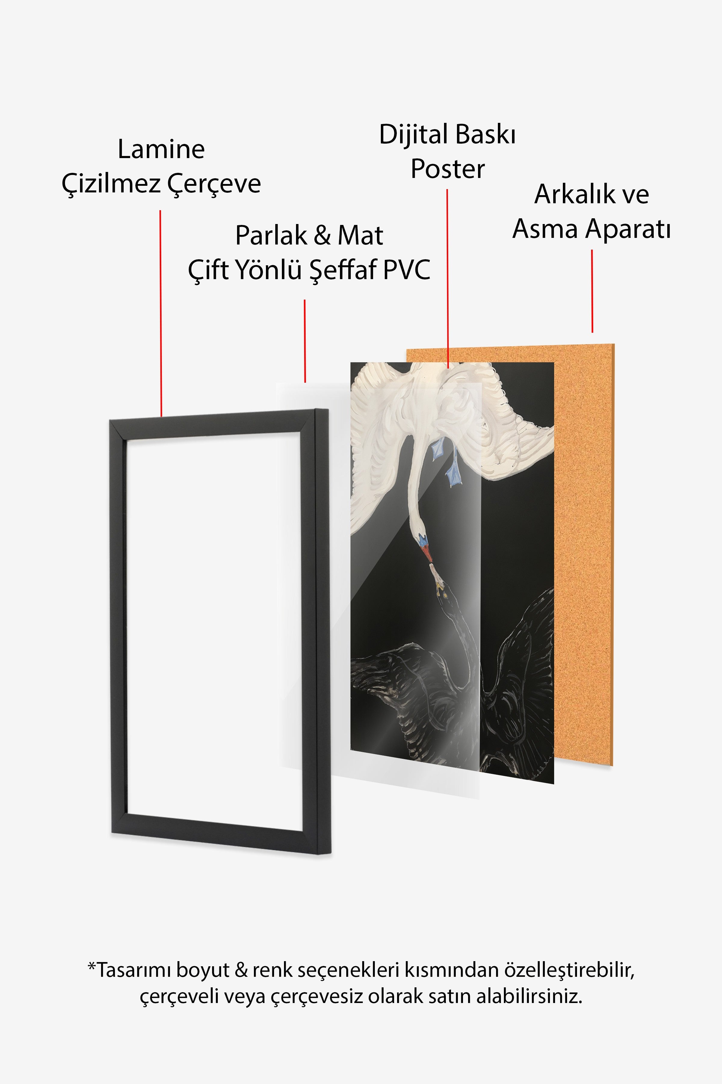 Duvar Tablosu, Siyah Çerçeveli Tablo ve Poster, Ritüel Serisi, Kuş Tablo, NO:115199