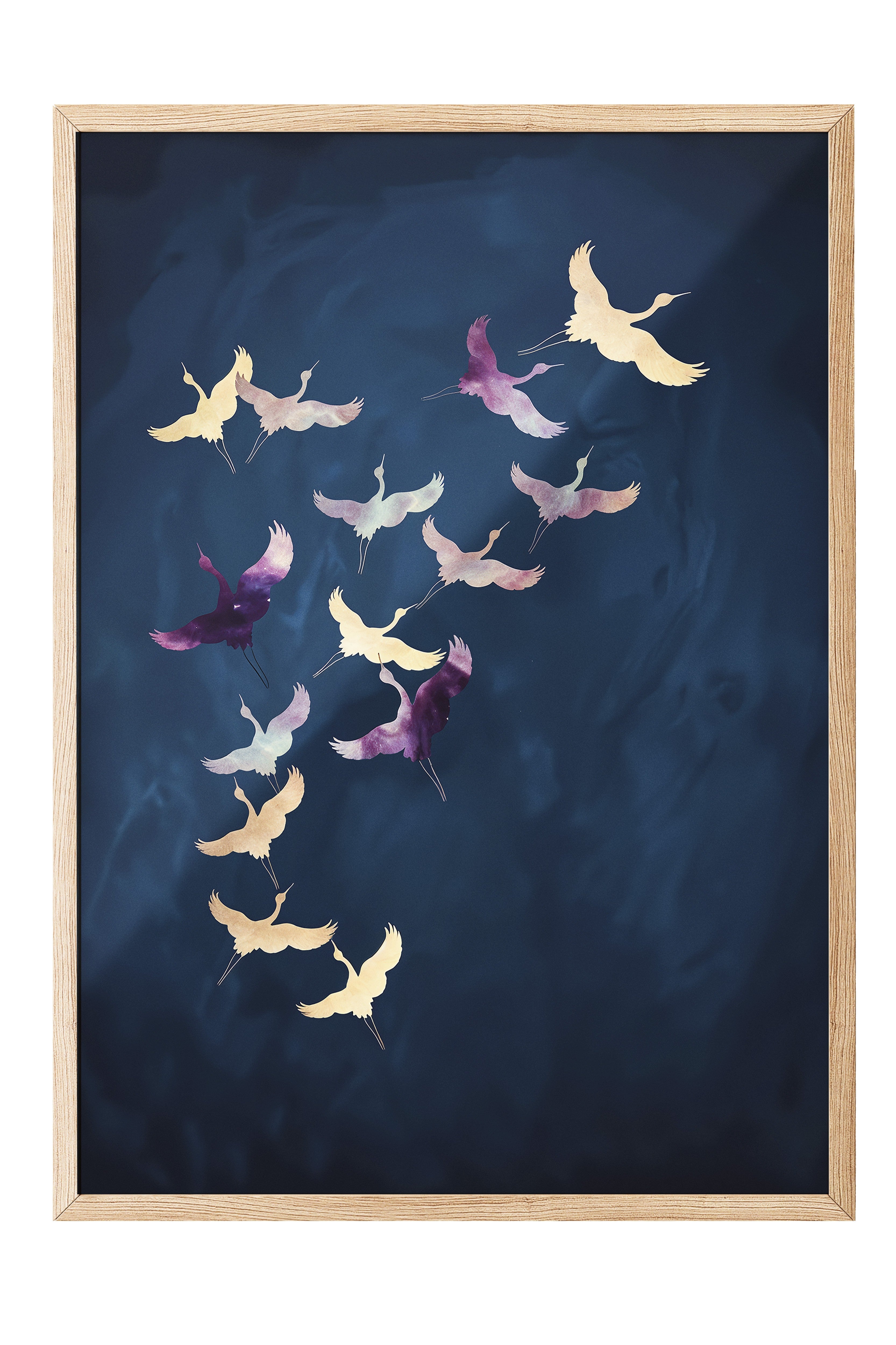 Duvar Tablosu, Ahşap Çerçeveli Tablo ve Poster, Ritüel Serisi, Kuş Tablo, NO:115200