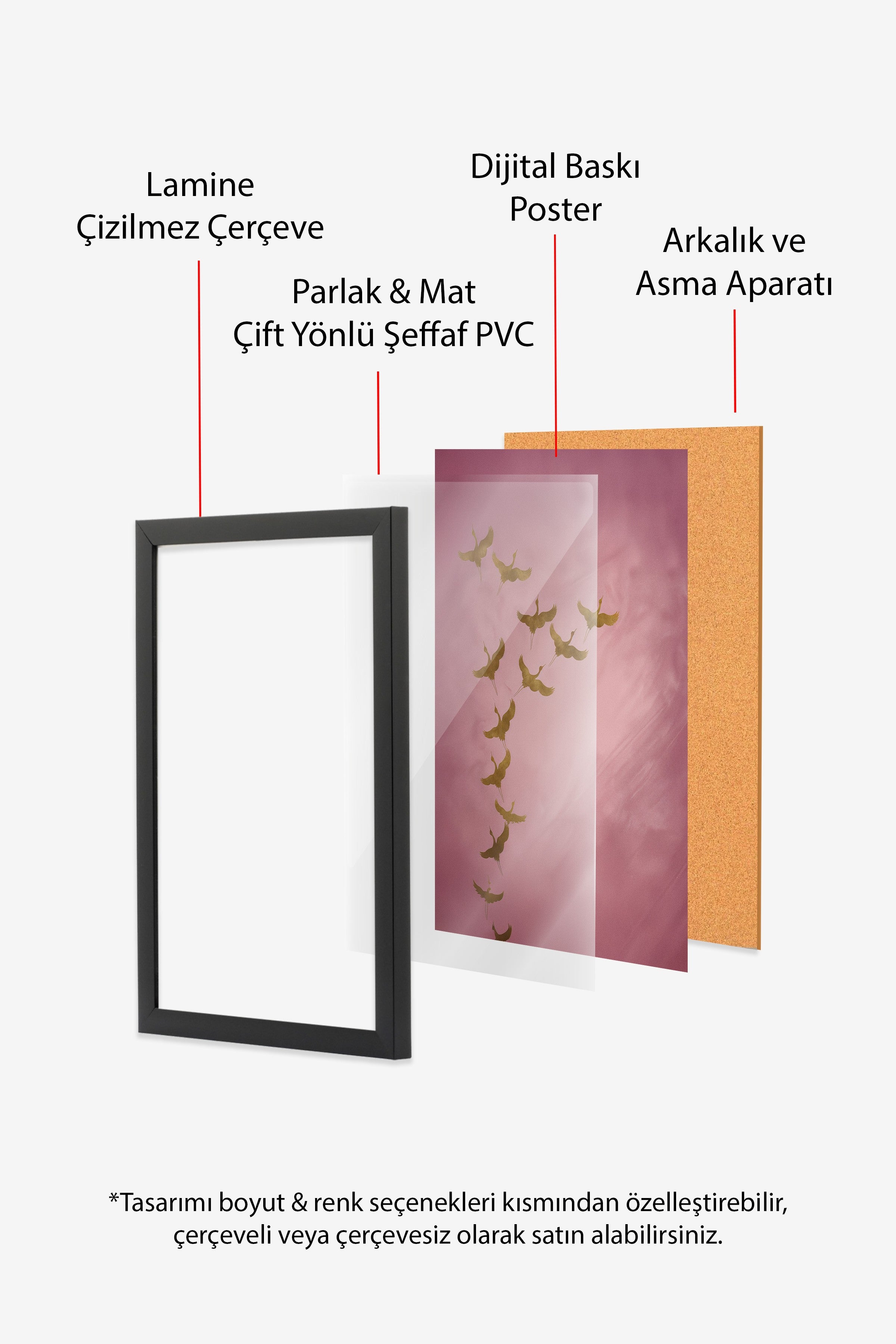 Duvar Tablosu, Siyah Çerçeveli Tablo ve Poster, Ritüel Serisi, Kuş Tablo, NO:115206