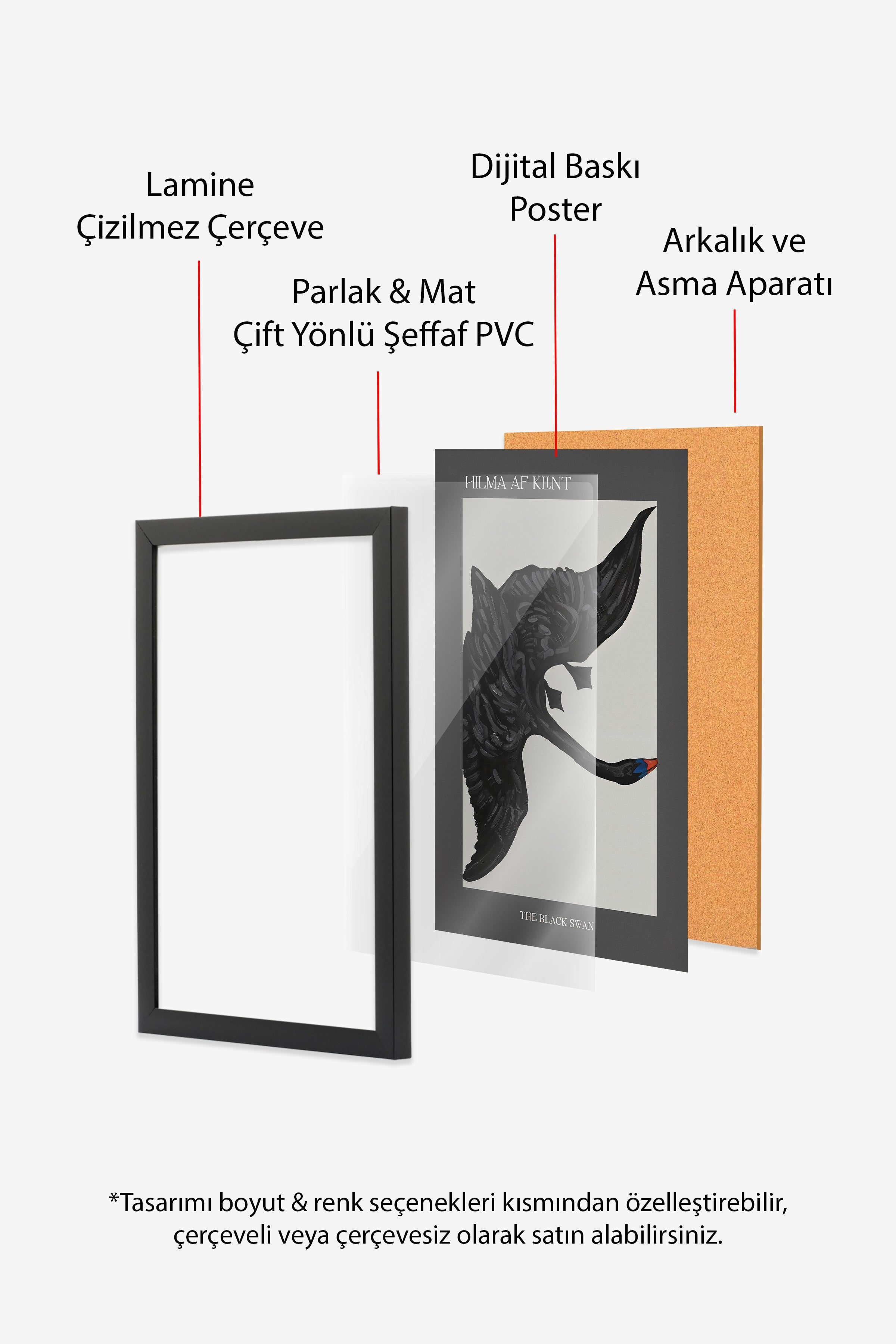 Duvar Tablosu, Siyah Çerçeveli Tablo ve Poster, Ritüel Serisi, Kuş Tablo, NO:115208